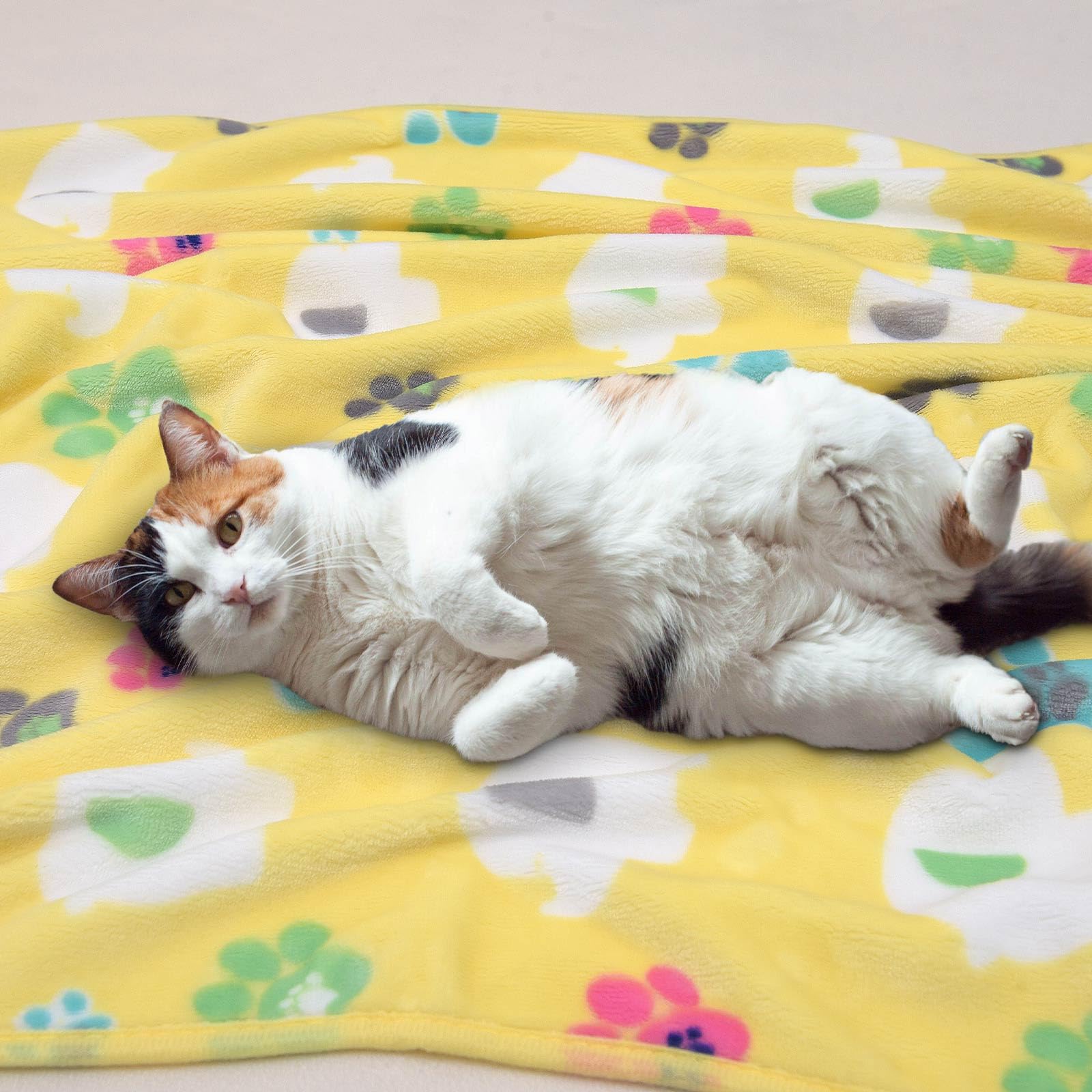 Rezutan 1 Pack 3 Premium Soft Dog Throw Blanket, With Flannel Yellow Cute Elephant Pattern And Paw Prints,41X31 Inches, Cat Blan