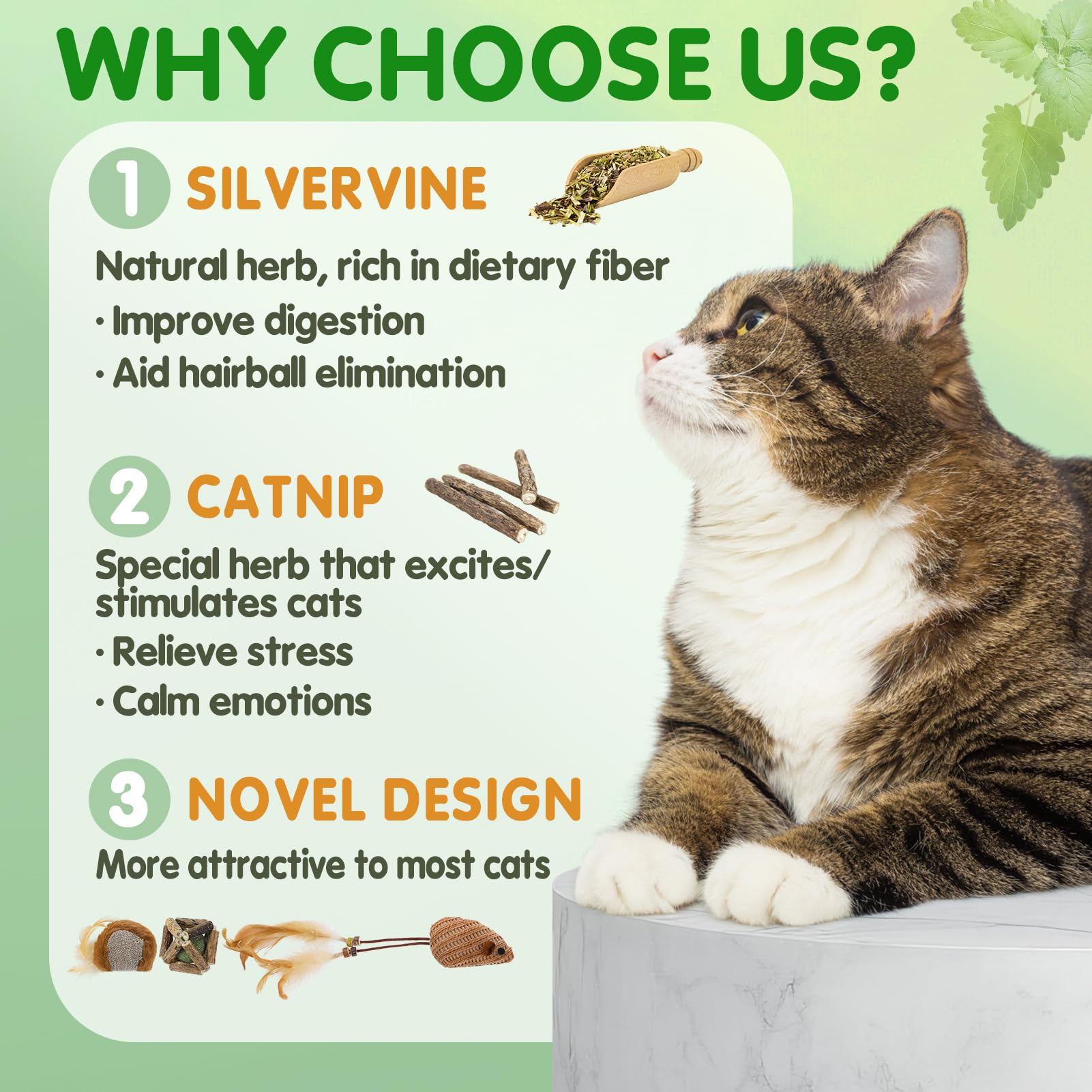 Acostop Catnip Cat Toys For Indoor Cats - 6 Styles Natural Silvervine Chew Toys For Teeth Cleaning, Relief Anxiety And Stress, R