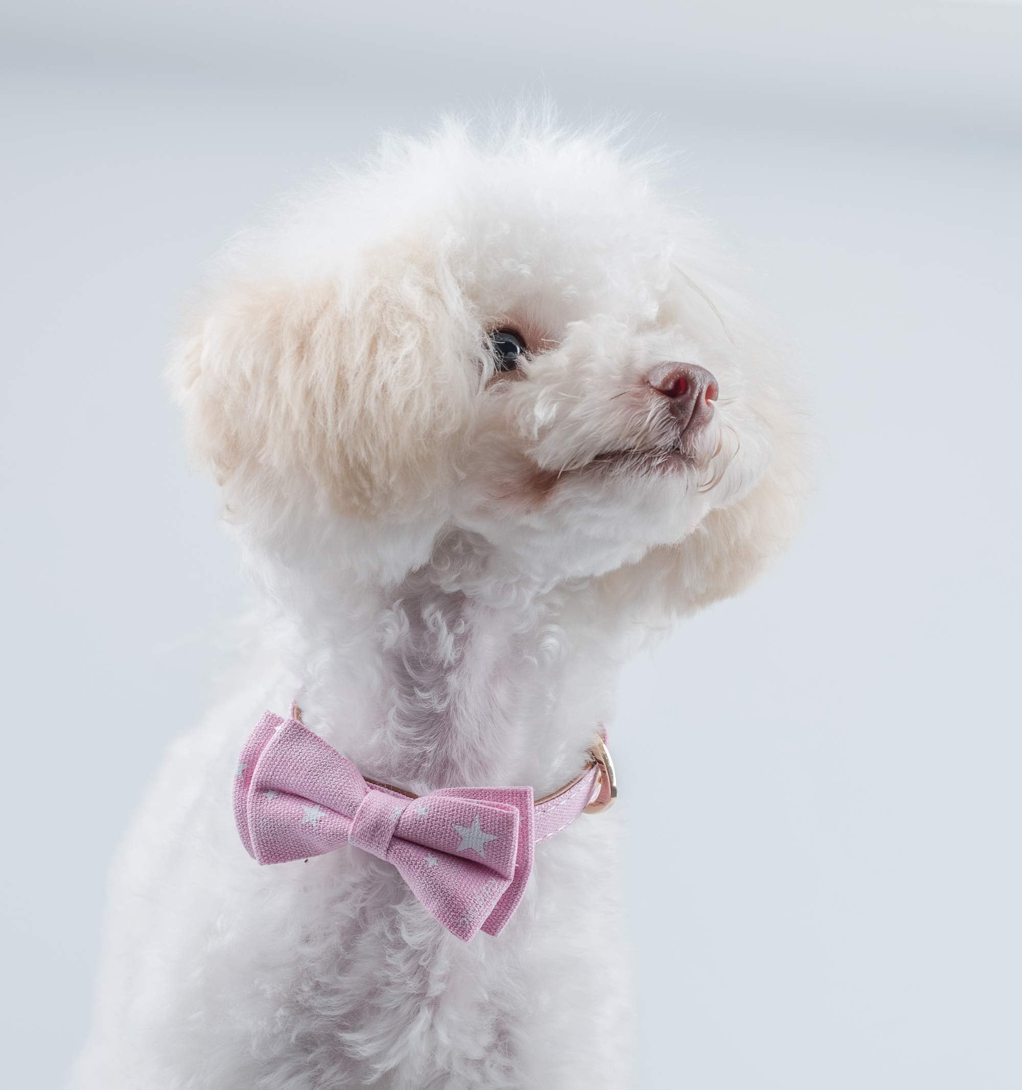 Gyapet Small Dog Collar Puppy Cat Tiny Pet Bow Tie & Bandana 2Pcs Set Pu Leather Canvas Scarf Durable Pink Stars