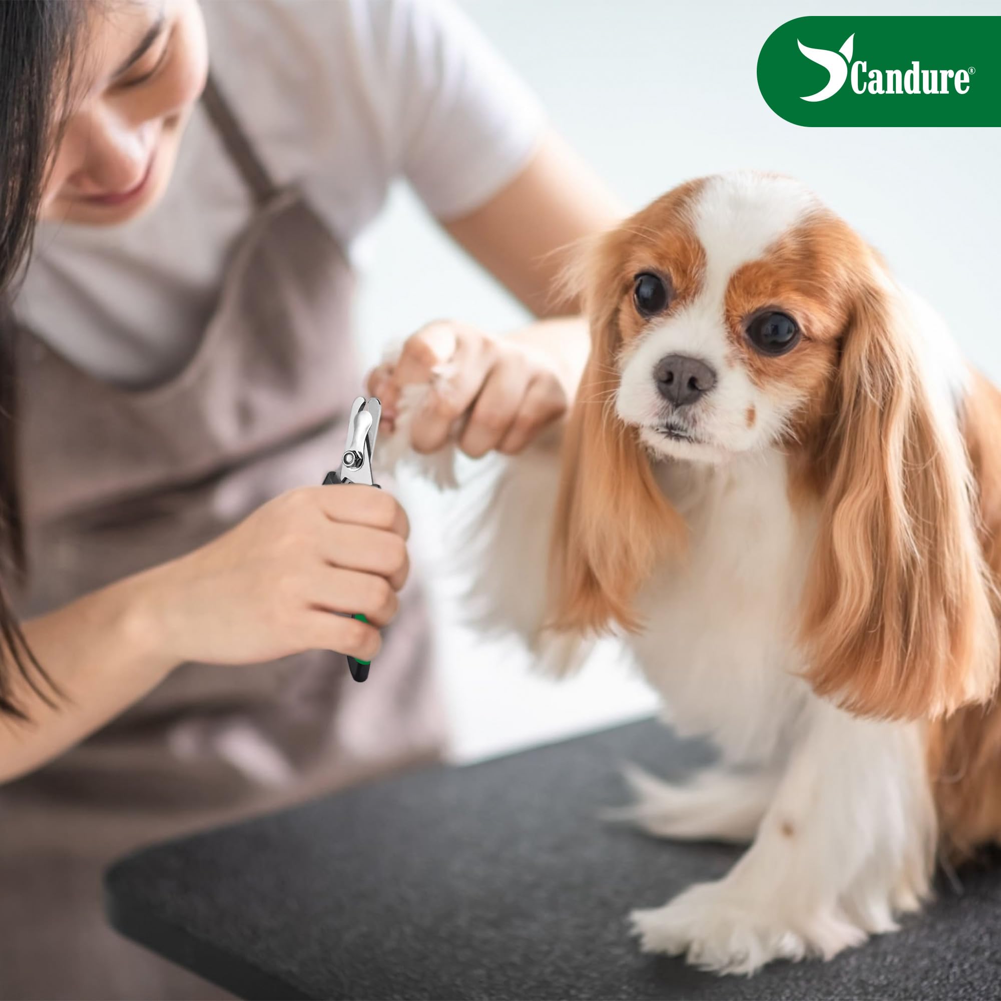 Candure Dog Nail Clippers Professional Pet Nail Clipper Suitable For Cats, Rabbits And Guinea Pigs - Safety Lock/Protective Guard To Avoid Over Cutting (Green, Medium To Small)