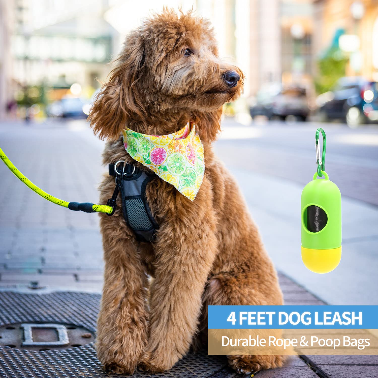 Baapet 2/4/5/6 Ft Dog Leash With Comfortable Padded Handle And Highly Reflective Threads For Small Medium And Large Dogs (4Ft-1/2'', Green)