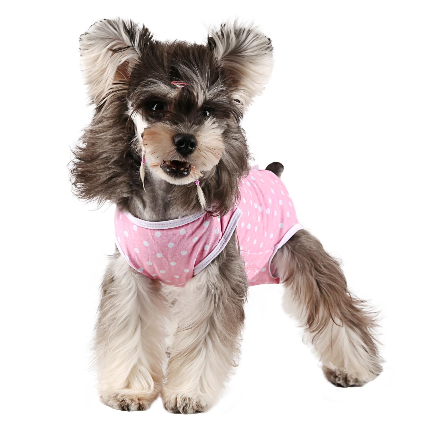 Etdane Dog Period Diapers Small Dog Period Suit Dog Sanitary Panties For Male Female Dogs Diaper Cover For Heat Pink Polka Dots/