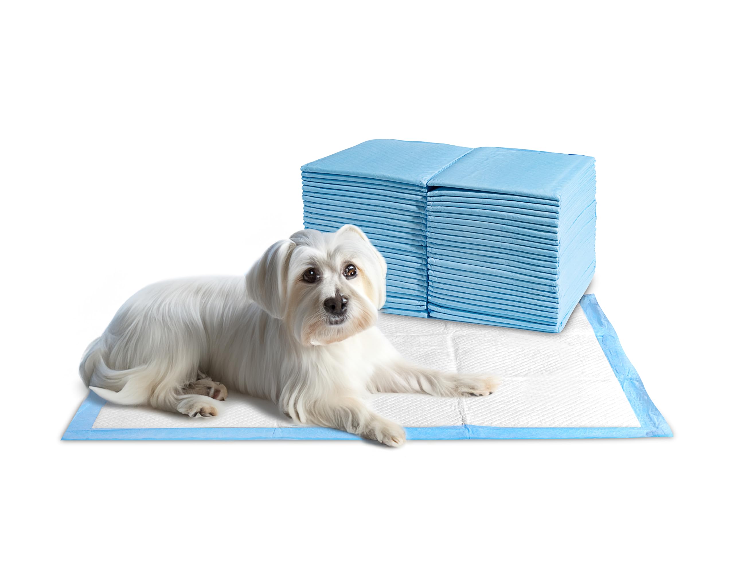 X-Large Puppy Pads, 50 Count, 23 W x 30 L,5 Layers, Training Pee Pads with Superb Absorption, Quick-Drying, Odor Neutralizer, Qu