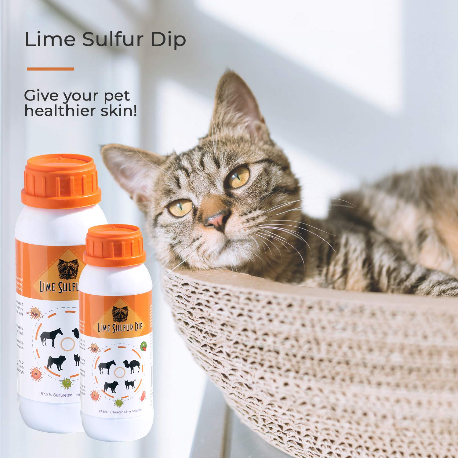 Classic s Lime Sulfur Dip - Pet Care for Itchy and Dry Skin - Xtra Strength Formula - Safe Solution for Dog, Cat, Puppy, Kitten