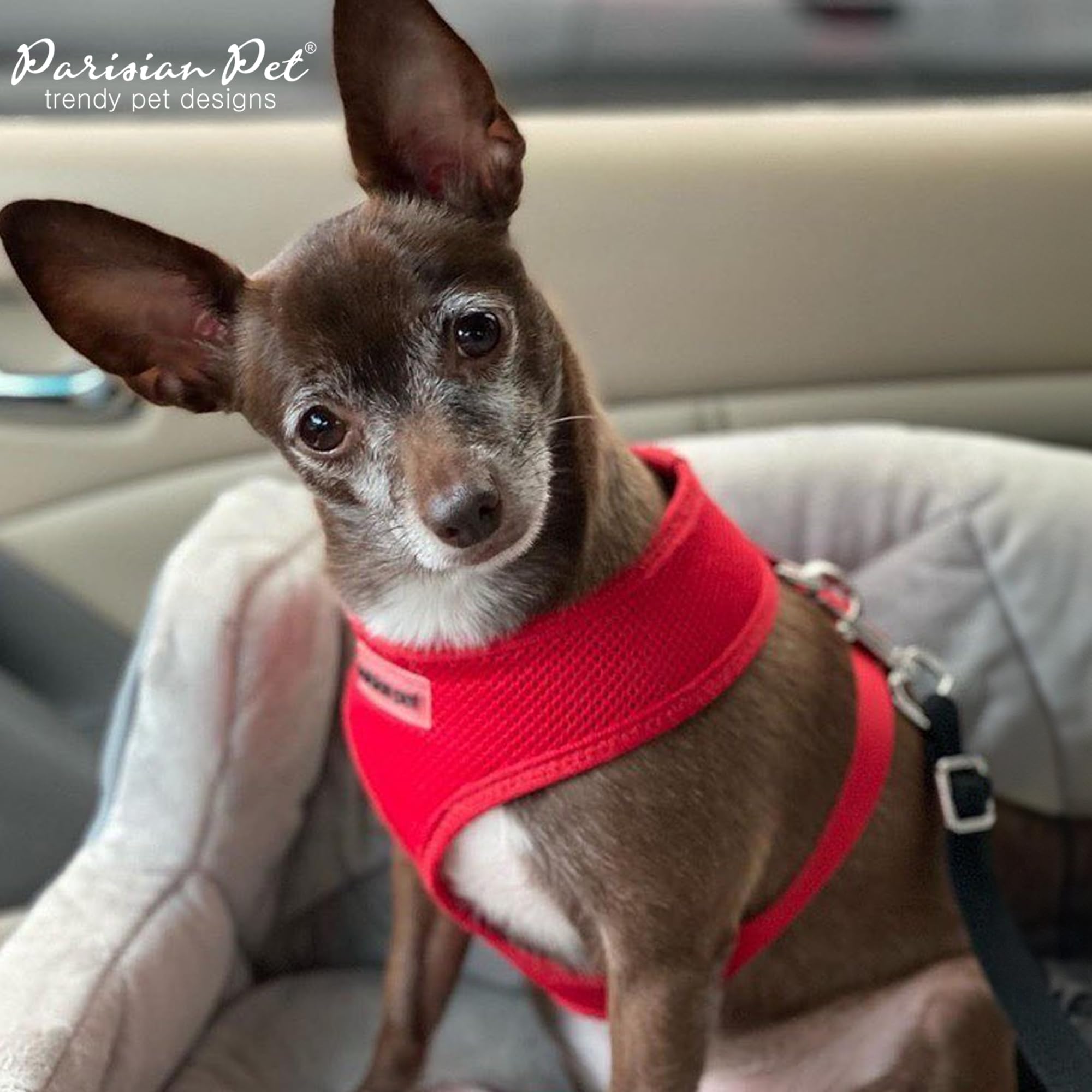 Parisian Pet Dog Harness - Adjustable Red Dog Vest Harness - 100% Mesh Fabric No Pull Puppy Harness - Cooling Dog Harness For Large Dogs - Idle For Walking, Running, And Hiking - Xl