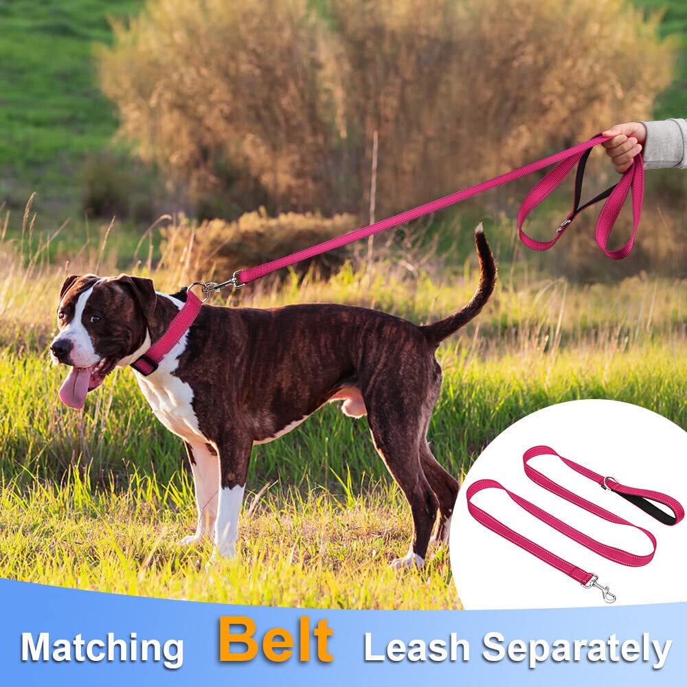 Taglory Reflective Adjustable Dog Collars For Puppy Small Medium Large Dogs, Thin Nylon Webbing And Quick Release Plastic Buckle(Hot Pink,Large)