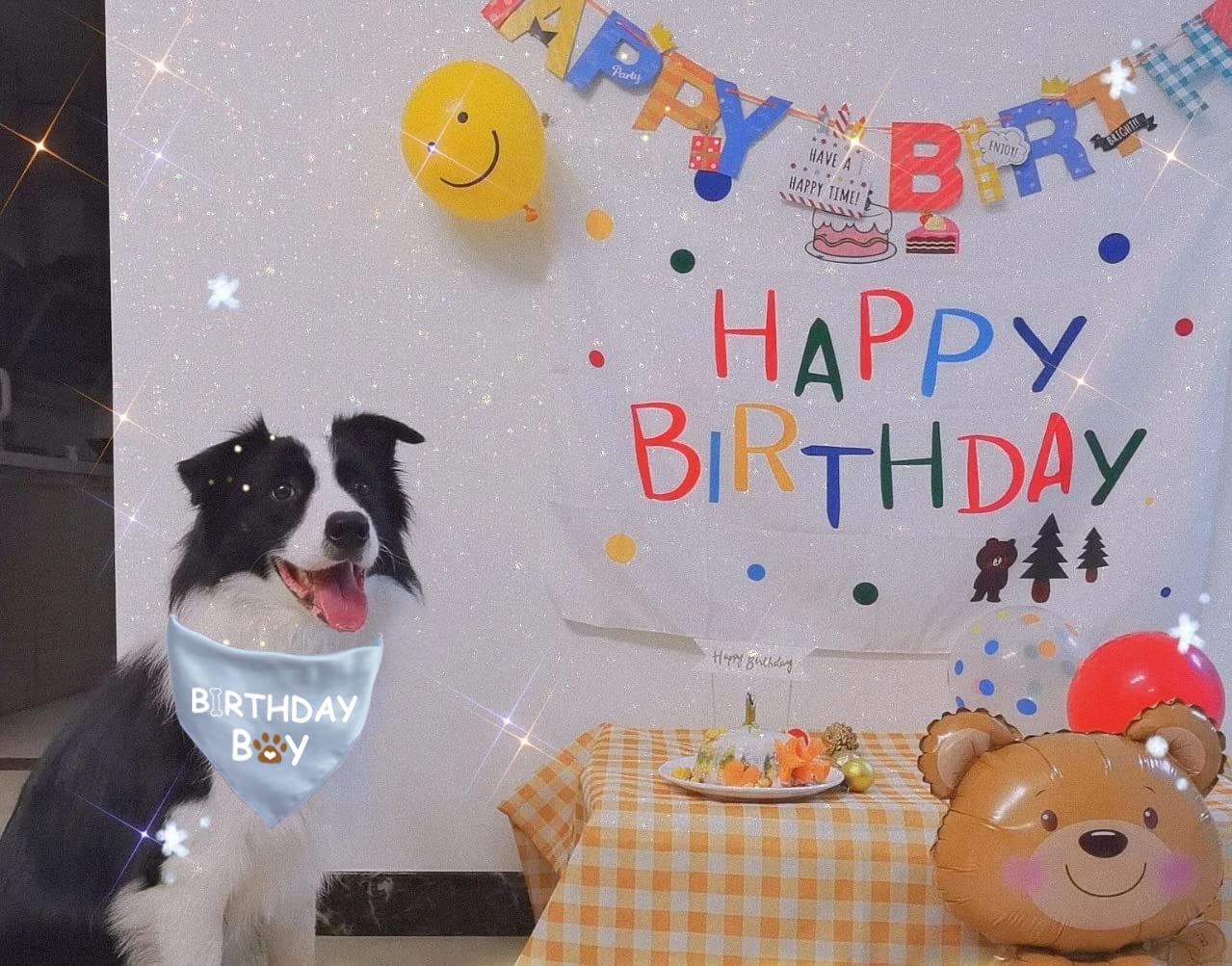Petslove Birthday Bandana For Boys & Girls - Dog Supplies For Small, Medium & Large Pets