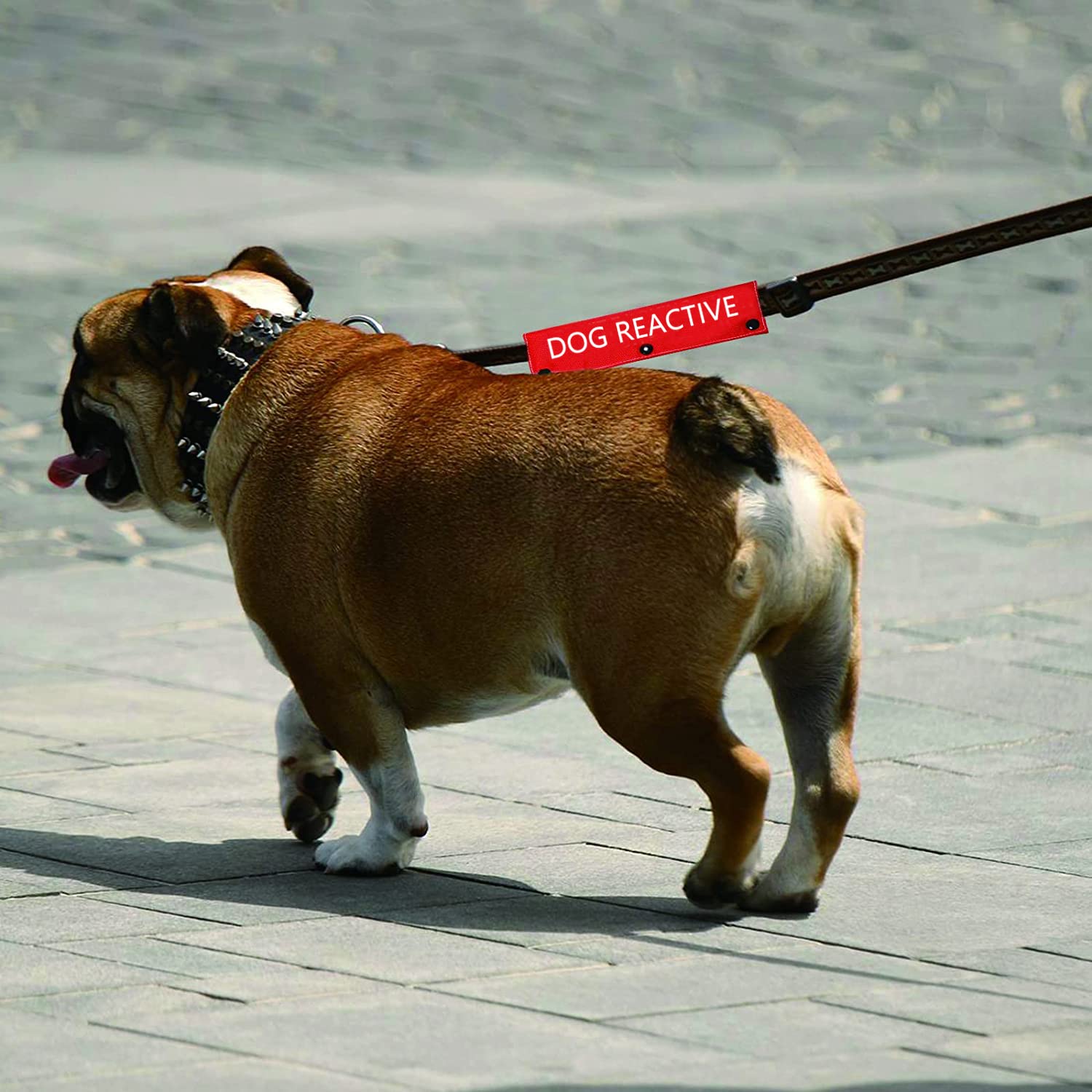 Funny Dog Leash Sleeve Dog Reactive Dog Leash Wrap Wrap Alert Hanging Id Patch Tag Pet Birthday Gift(Dog Reactive-Sleeve)