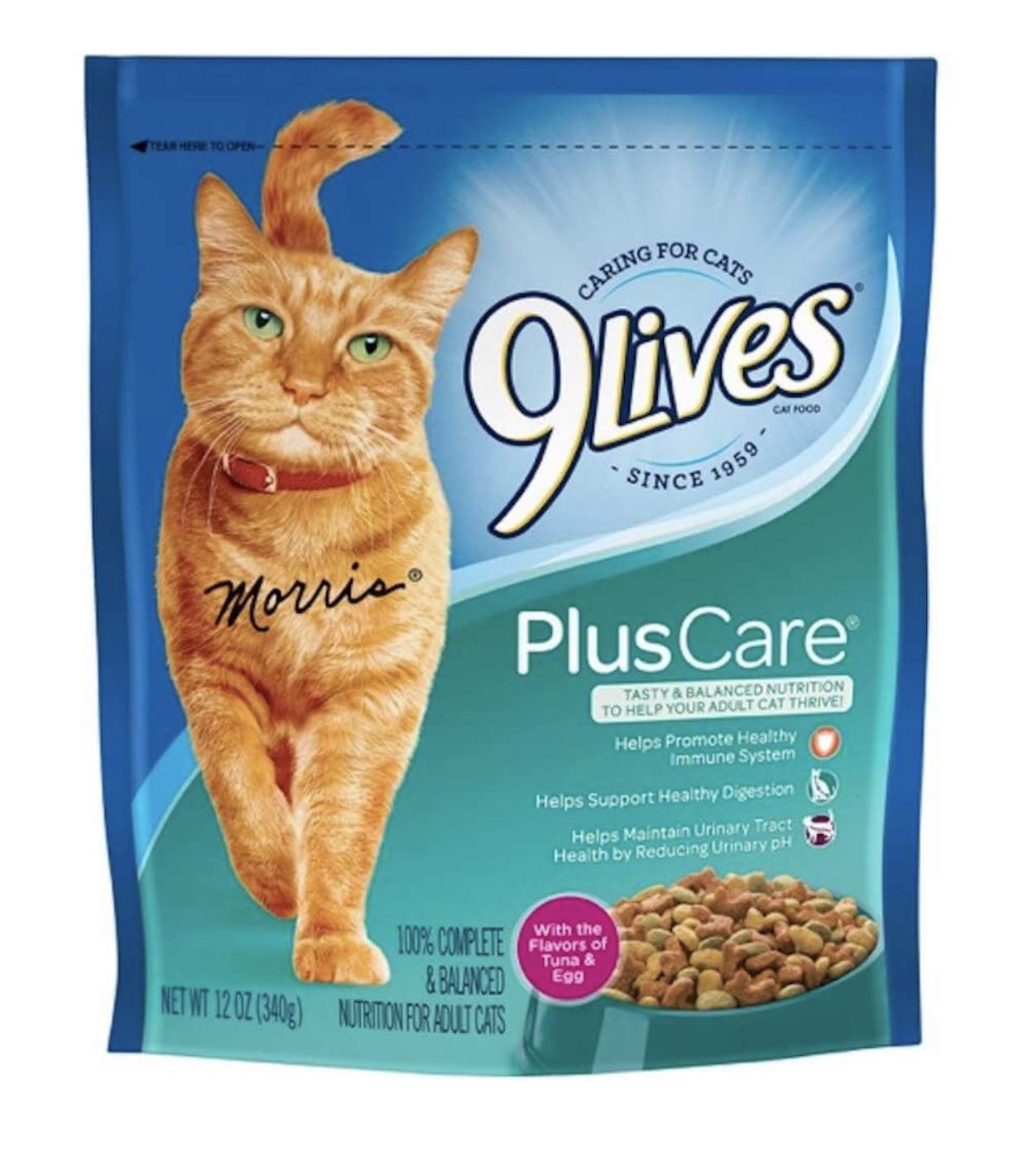 9Lives Cat Plus Care Dry Food 12oz #13291