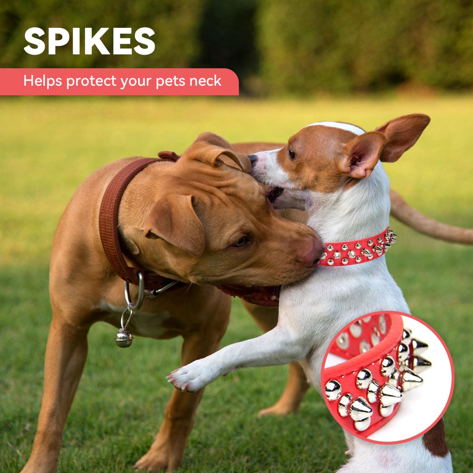 Doggyzstyle Small Spiked Red Dog Cat Collar For Small Medium Dogs Boy Male Female - Adjustable Studded Puppy Collars - Soft Padd