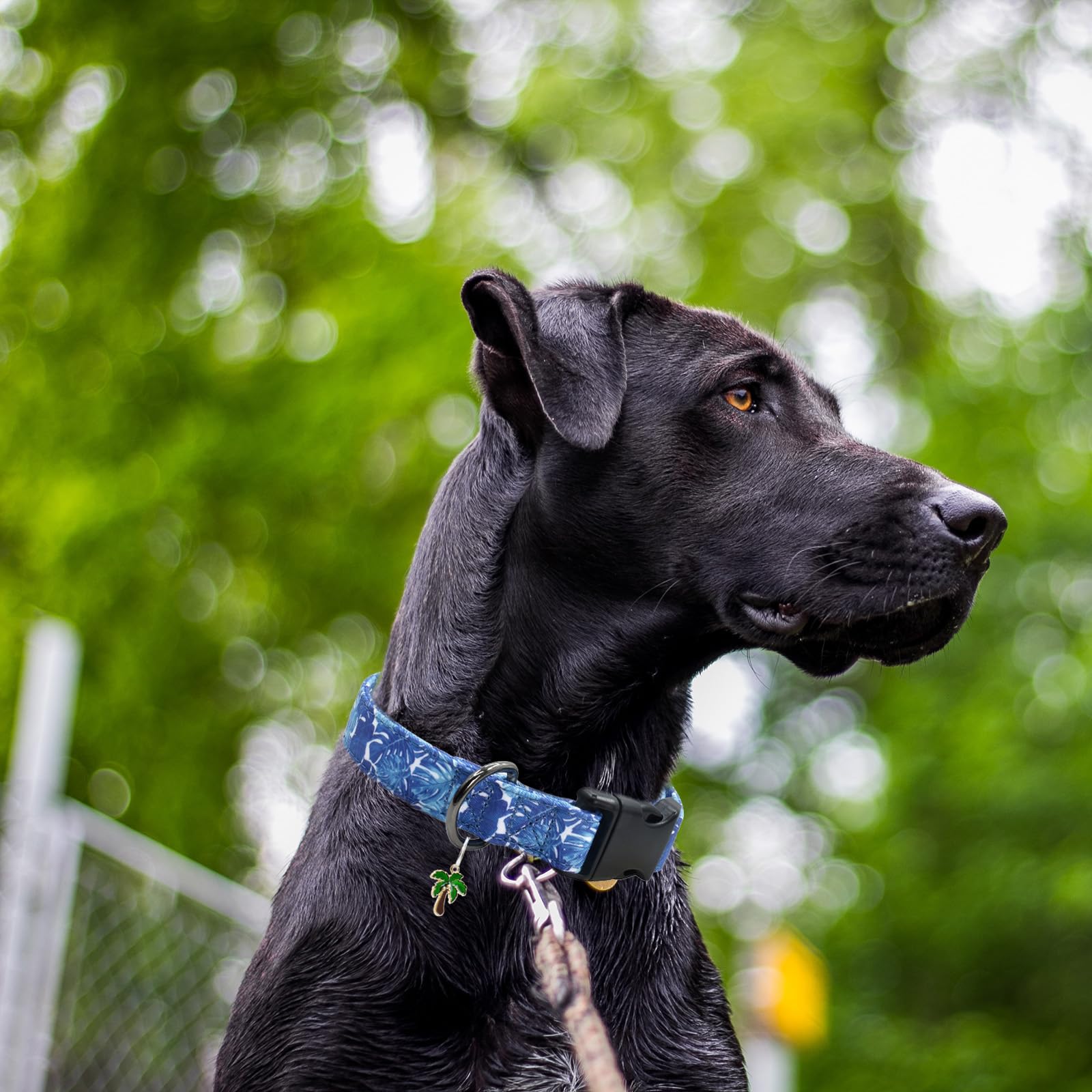 Flower Patterns Dog Collar With Accessories, Soft Cotton Dog Collars For Small Medium Large Female And Male Dogs(Palm Frond L)