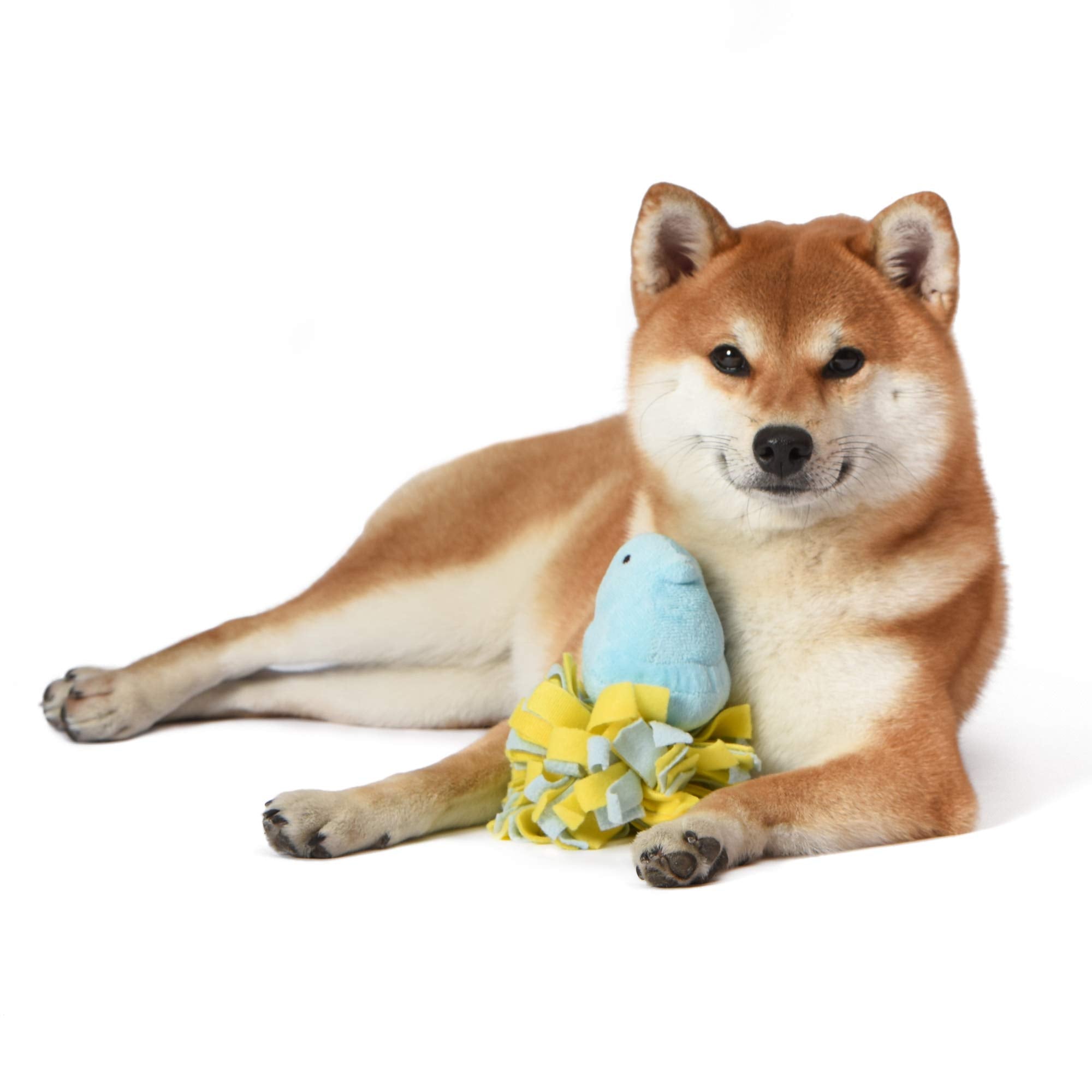 Peeps For Pets Plush Chick Fleece Bottom Dog Toy In Blue And Yellow Blue Peeps Chick Dog Toys, Small Plush Dog Toys With Squeake