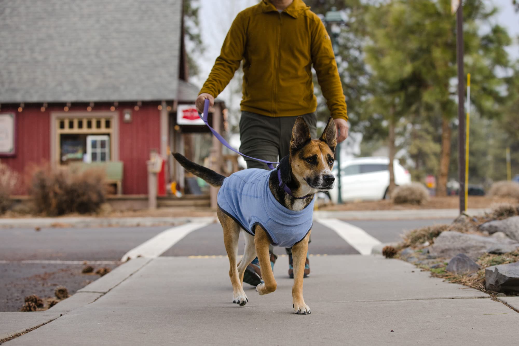 Ruffwear, Hemp Hound Sweater For Dogs, Heliotrope Purple, Xx-Small
