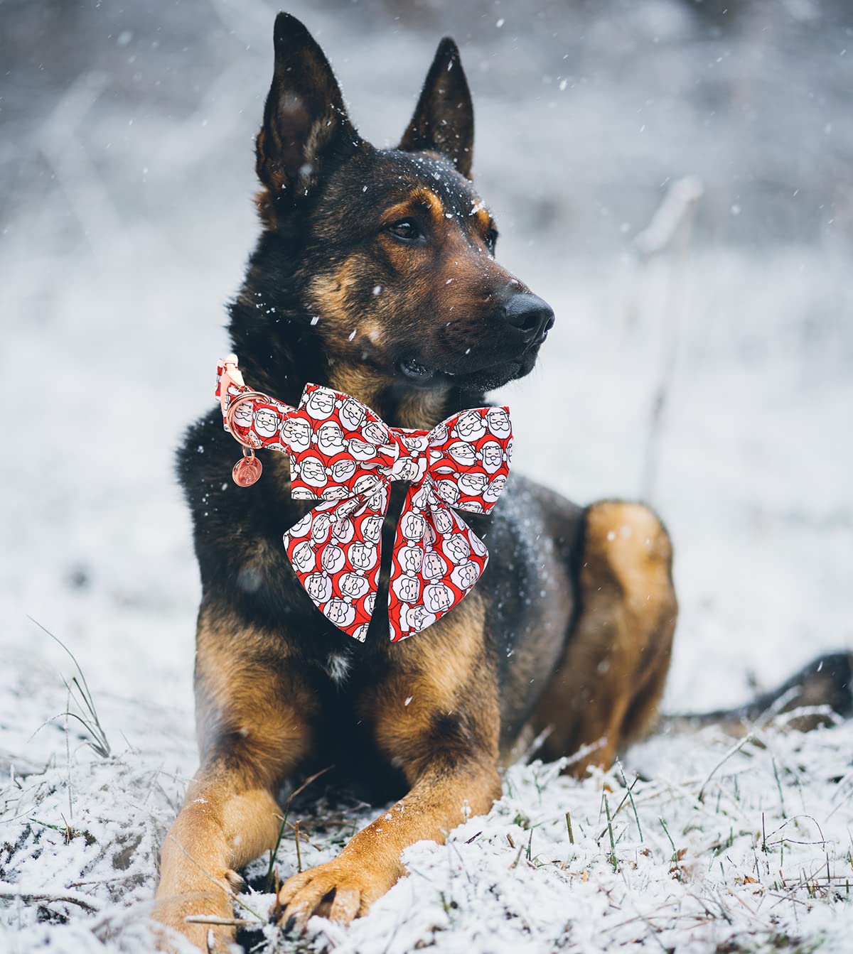Dogwong Cotton Dog Collar With Bowtie, Stylish Christmas Red Plaid Dog Collar Adjustable Puppy Necklace For Small And Medium Dog