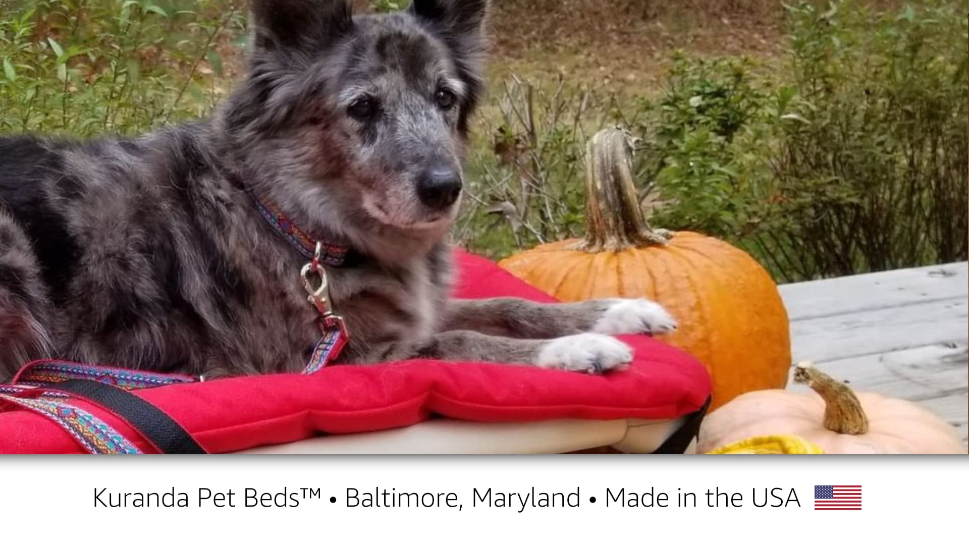 Kuranda Cordura Pad - Small - 30'' x 20'' - Red