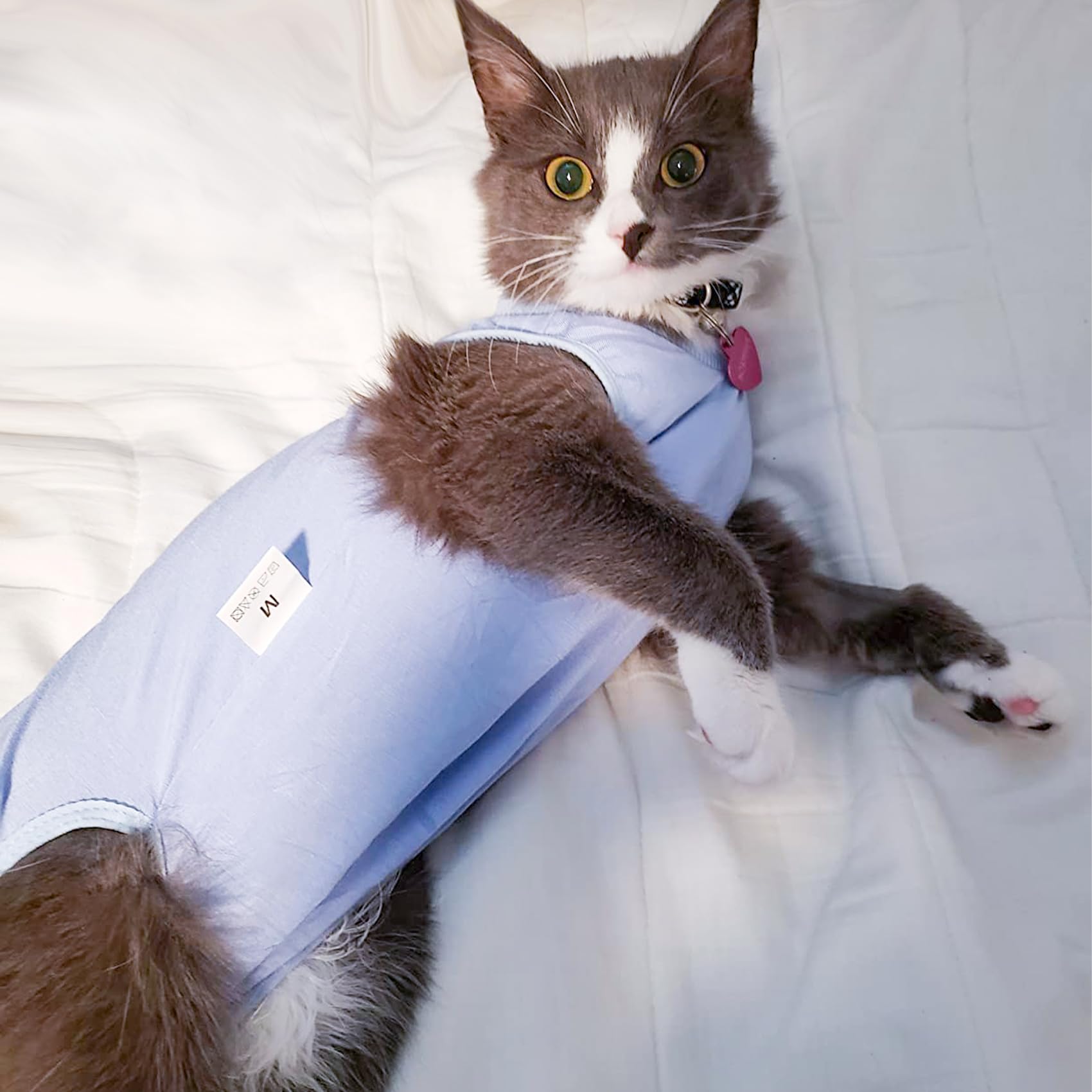 DOTON Cat Recovery Suit for Male and Female Surgical Post Surgery Soft Cone Onesie Shirt Clothes Neuter Licking Protective Diape