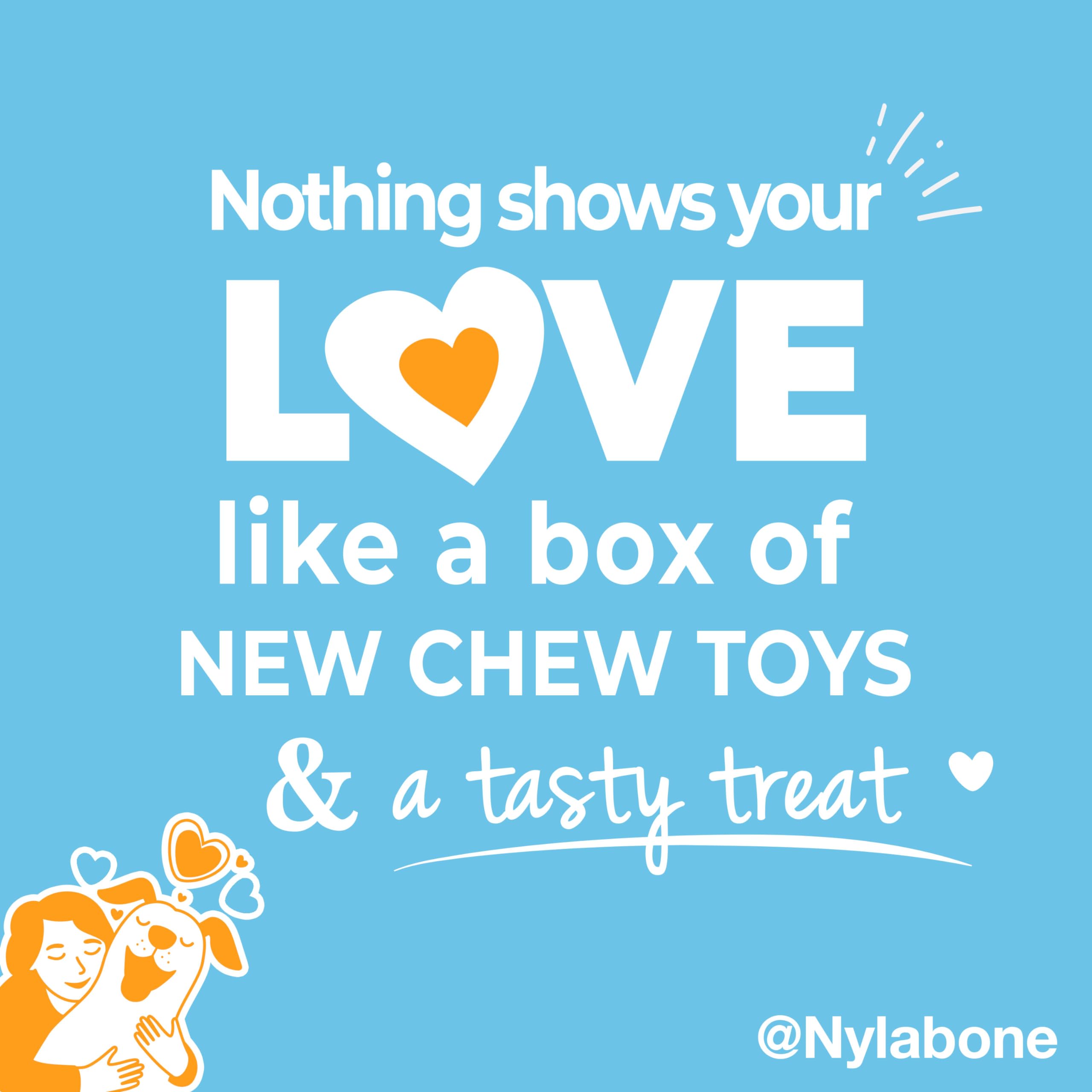Nylabone Puppy Gift Box, Includes 3 Strong Chew Toys and 1 Natural Dog Treat, Gifts for Puppies, Small - Up to 25 lbs, 4 Pack