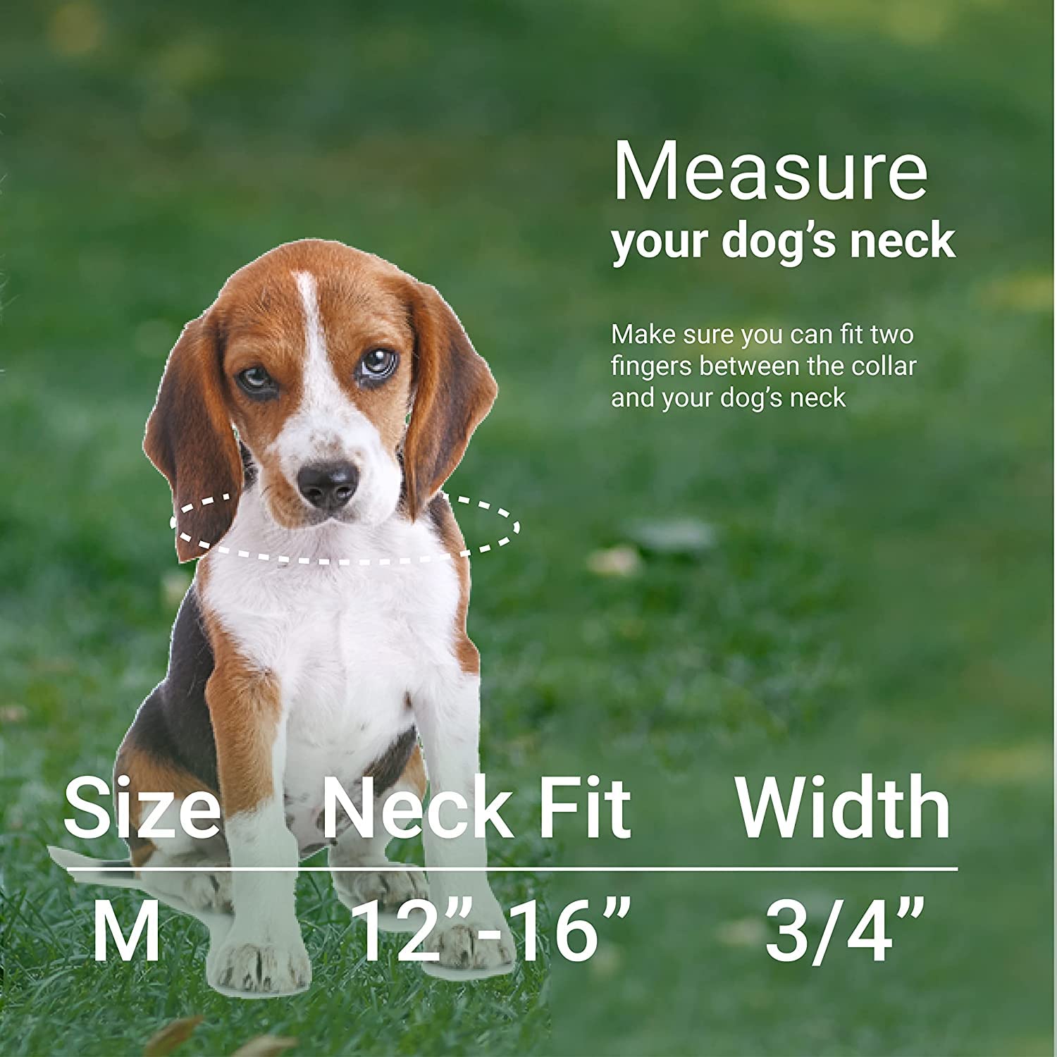 Nylon Dog Collar Aztec Geometric Pattern Tribal Magenta 12-16 Inch