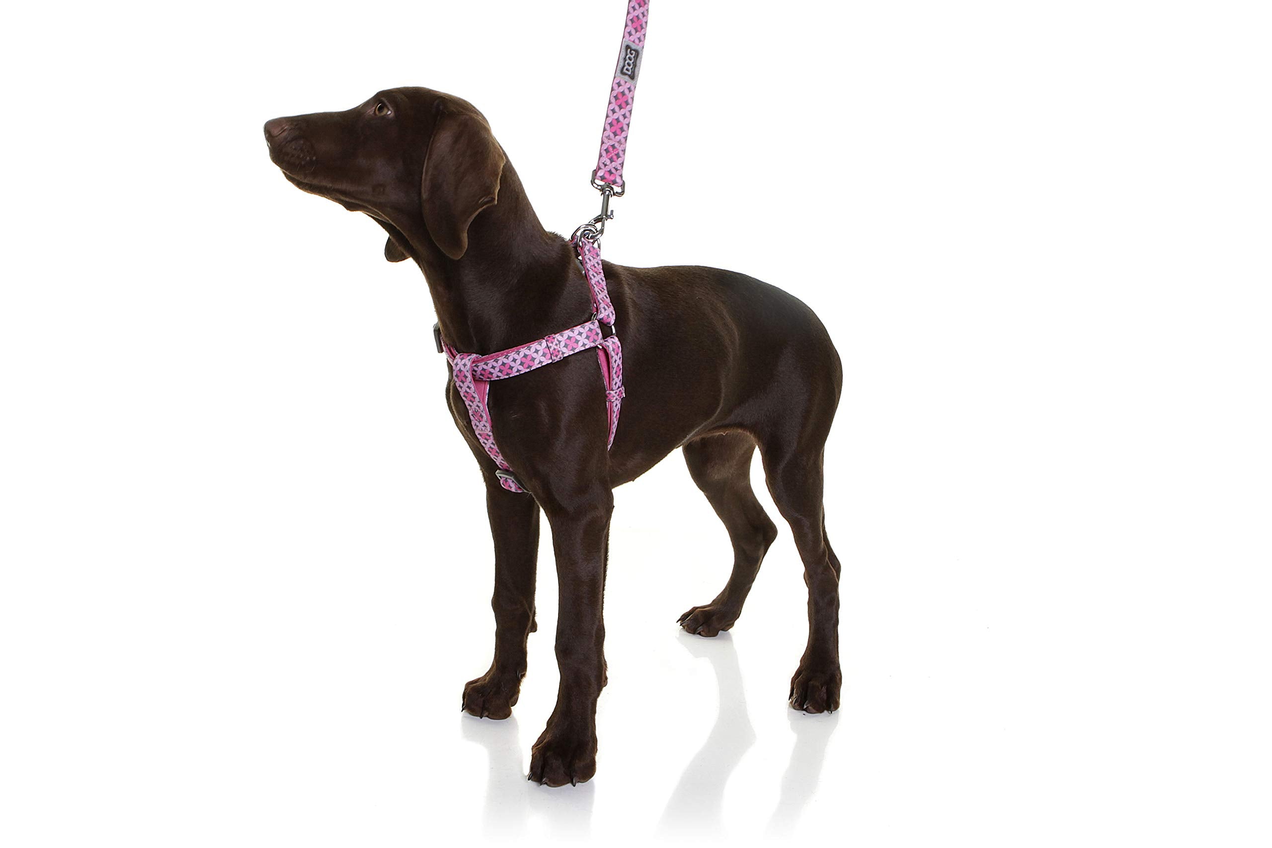 Doog - Step In Harness Toto (Small), Harpbs-S