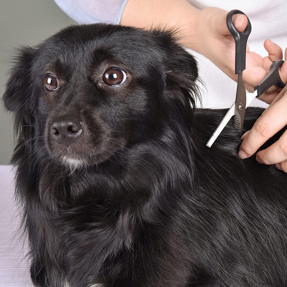 Professional Pets Grooming Scissors Set Stainless Steel Dog Eye Scissors Thinning Shears For Dogs And Cats, Home Pet Grooming Tool Kit