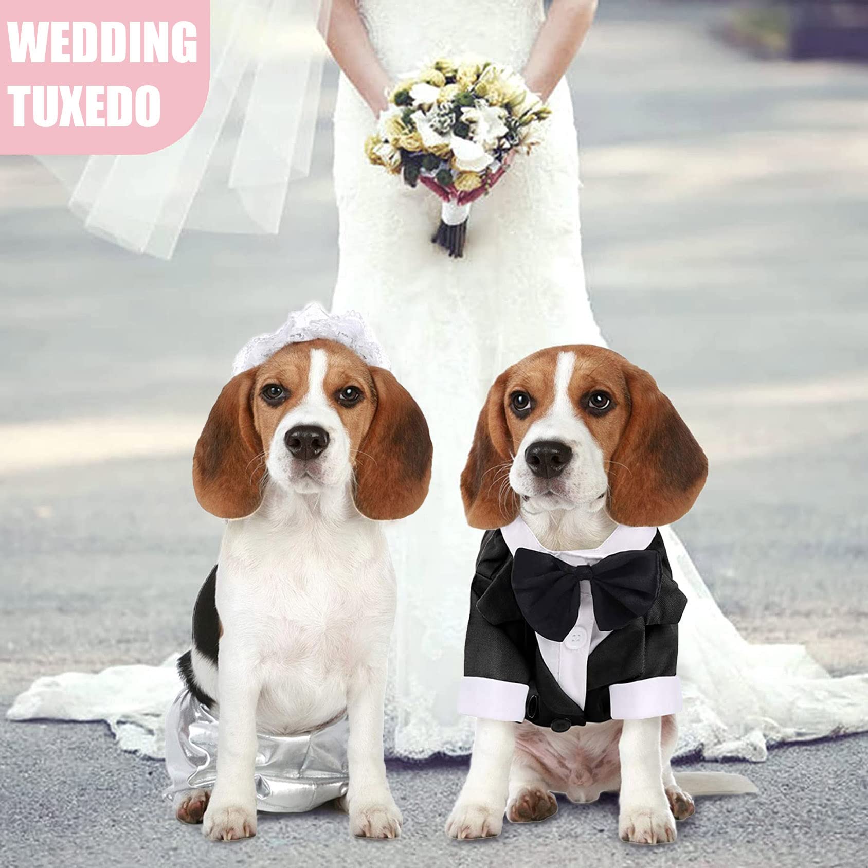 Dog Shirt Puppy Clothes, Pet Wedding Suit Formal Tuxedo With Black Bow Tie, Dog Outfit For Small Medium Dogs Cats, Dog Weding Attire Dress Up Cosplay Prince Costume Gentleman Apparel (Small, Black)