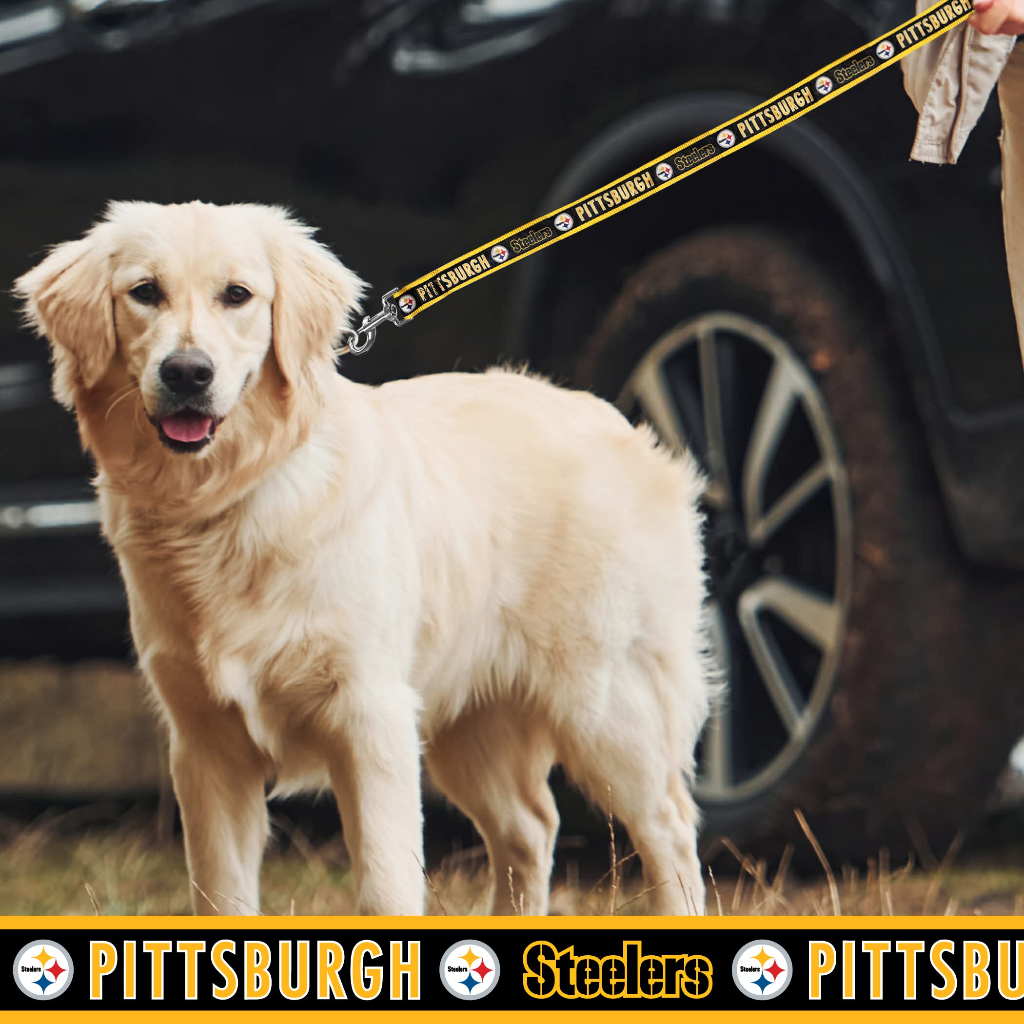 Nfl Pet Leash Pittsburgh Steelers Dog Leash, Large Football Team Leash For Dogs & Cats. A Shiny & Colorful Cat Leash & Dog Leash