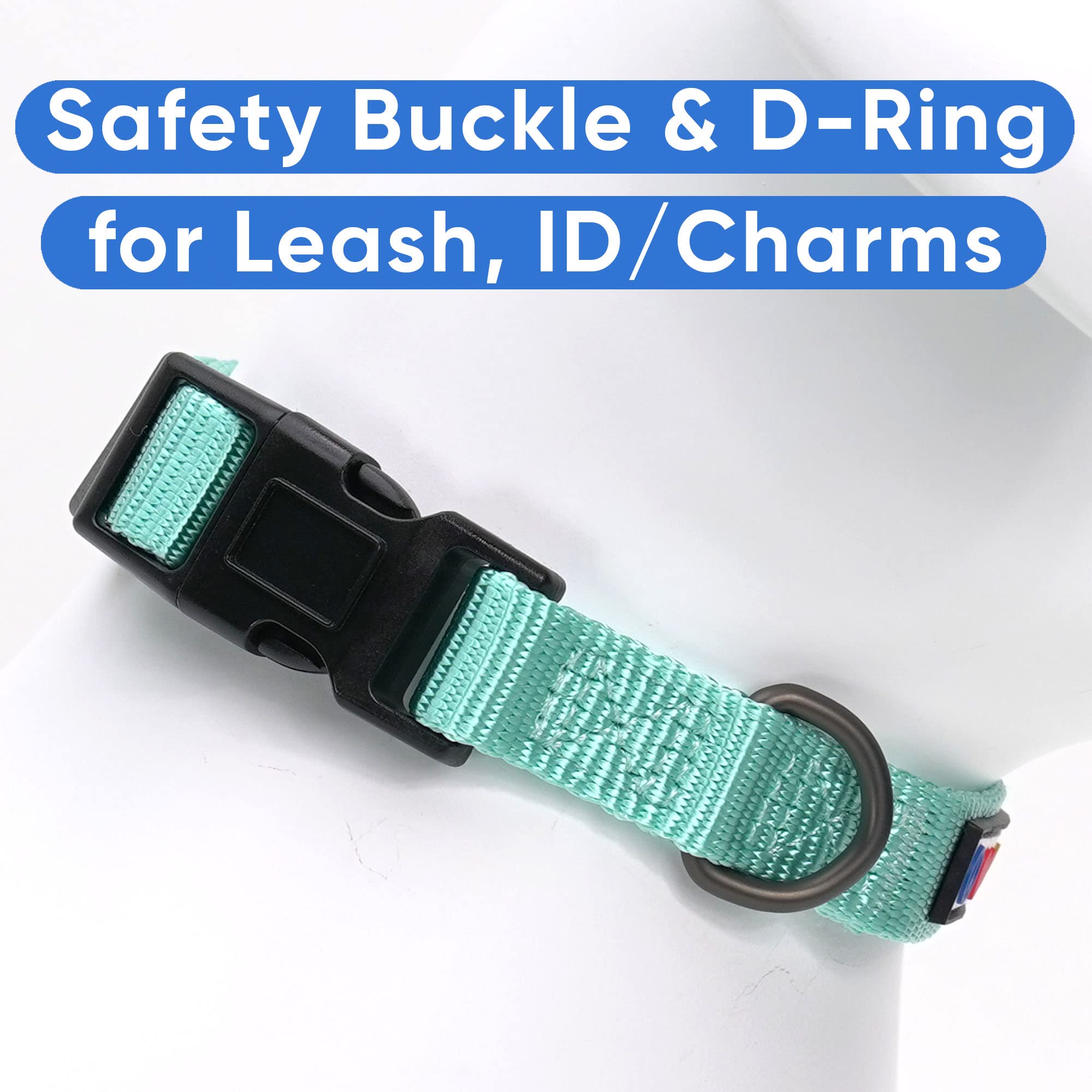 Pawtitas Adjustable Dog Collar - Heavy Duty, Waterproof, Quick-Release Buckle - Teal, Small Breeds