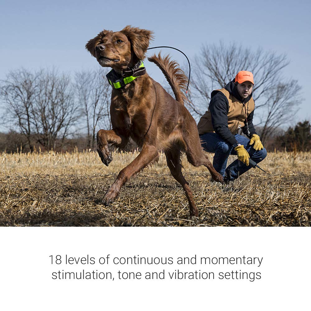 Garmin Pro 550 Plus Dog Training System with GPS Tracking, Black, Model 010-02035-00, Durable Plastic Collar and Handheld