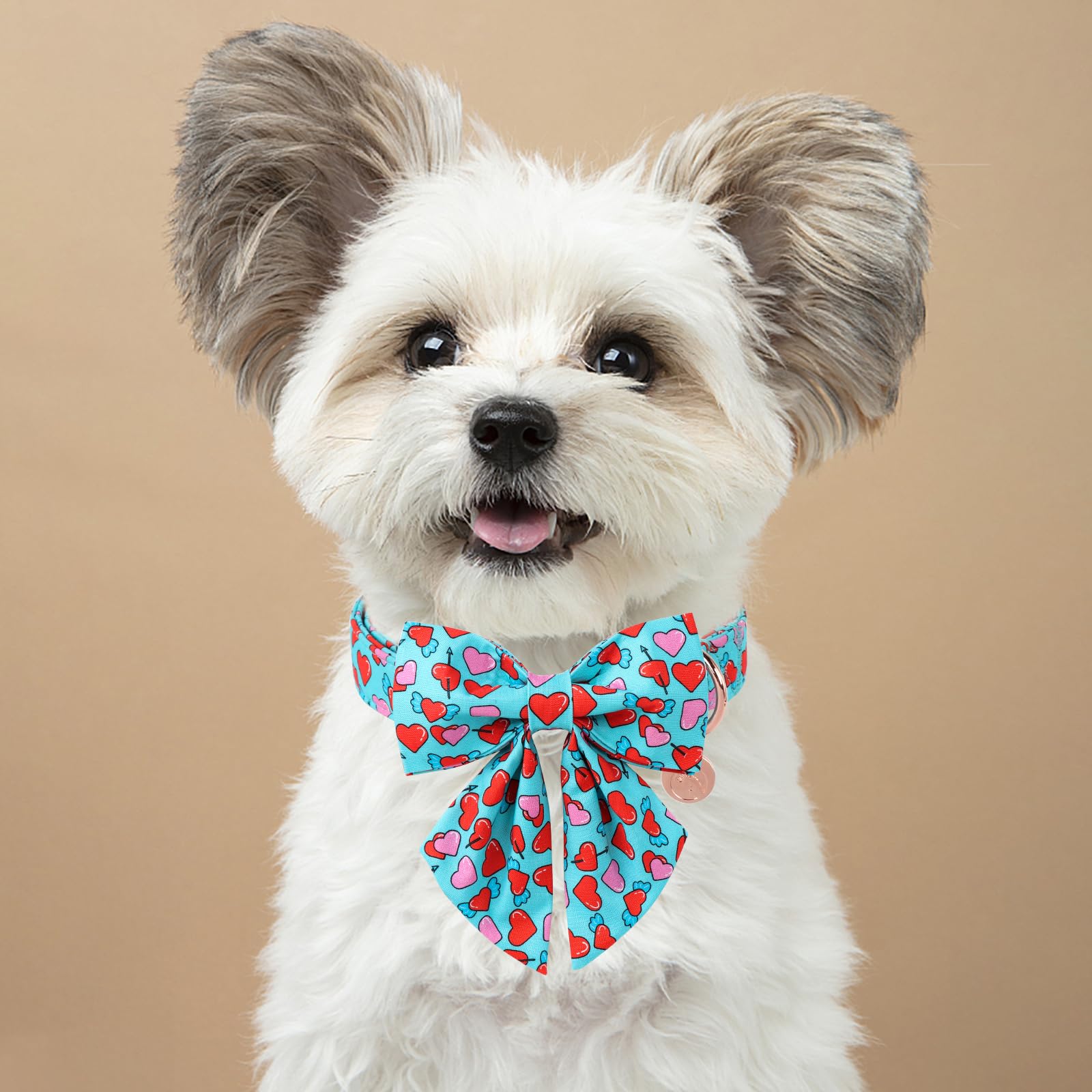 Dogwong Valentine Dog Collar With Bow, Blue Heart Dog Collar Durable Soft Cotton Pet Dog Collar Cute Heart Valentines Day Puppy