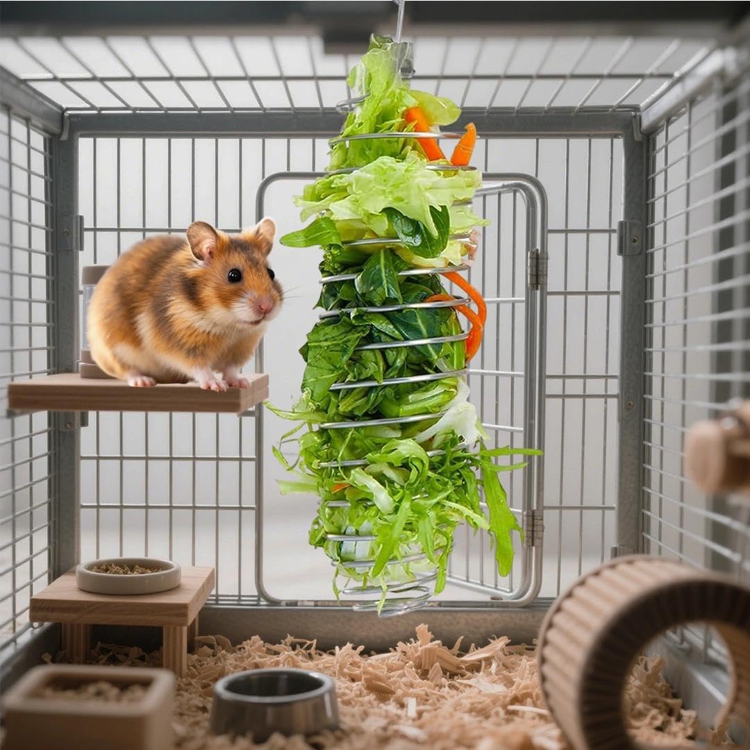 luchike 2Pcs Stainless Steel Rat Toys Rat Enrichment Toys Hamster Toy Hamster Cage Accessories Fancy Mice Cage Accessories Puzzl