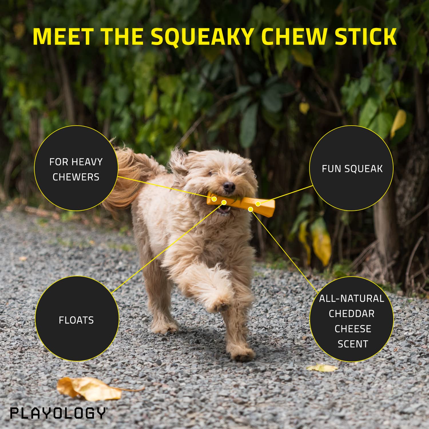 Playology Squeaky Chew Stick Dog Toy for Large Dogs - Cheddar Cheese Scented, Non-Toxic Rubber, Ideal for Moderate Chewers