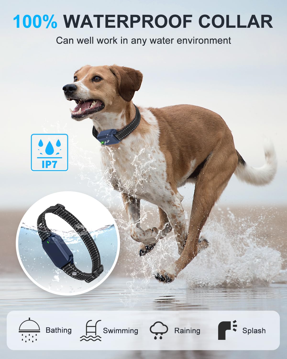 SODOG No Shock Dog Training Collar with Remote, Waterproof, Rechargeable, for Dogs 10-120 lbs, Navy Blue, Model KT47