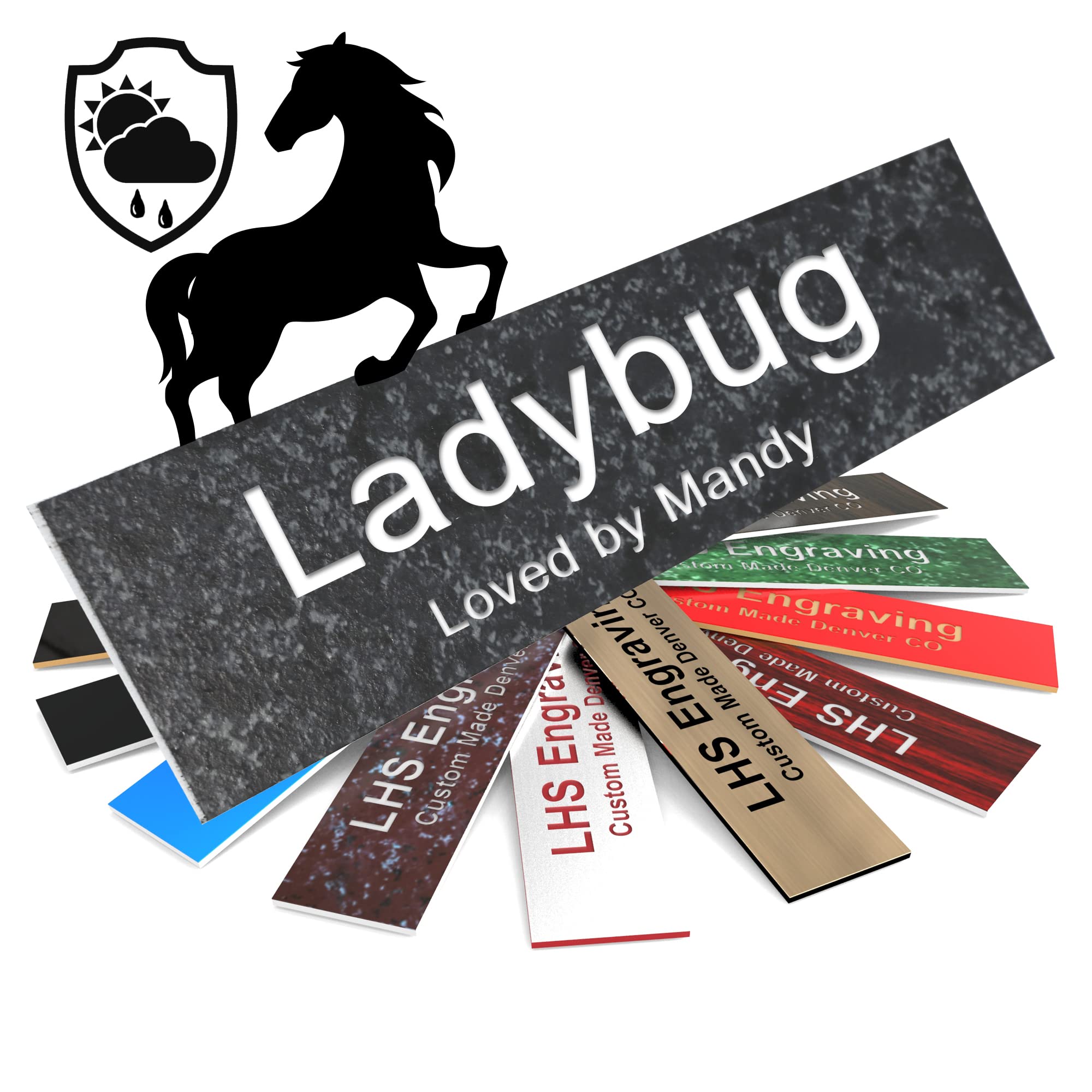 Lhs | Personalized Horse Stall Name Plates, 2X10 Horse Stall Signs With Adhesive, All Weather Uv Protected, Mojave Plastic White