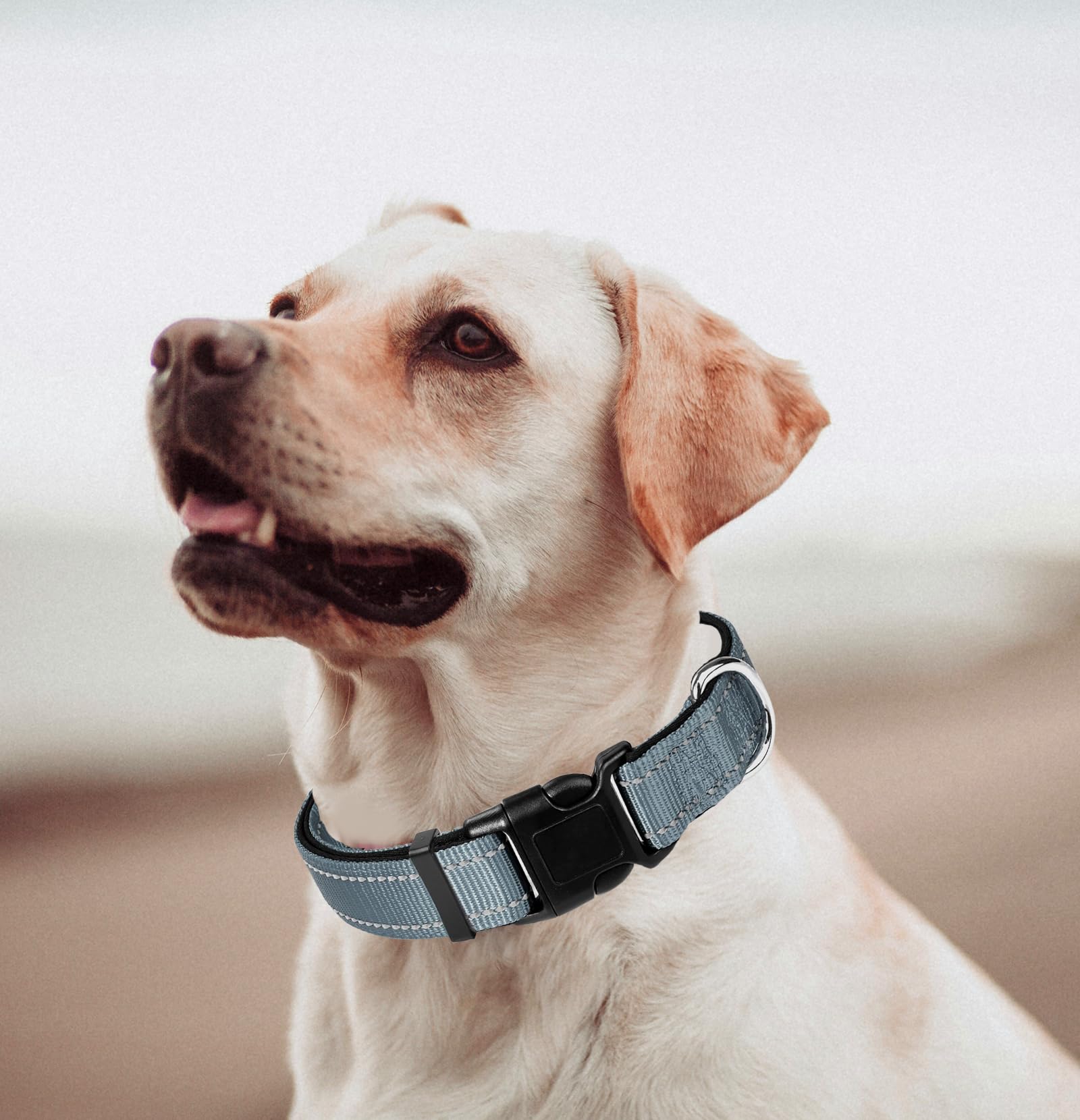 Grey Dog Collar, Reflective Pet Collar with Buckle Adjustable Safety Nylon Collars for Small Medium Large Dogs, S