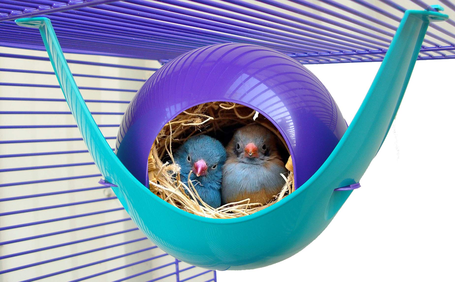 Lixit Igloos And Hideaways For Guinea Pigs, Rats, Mice, Hamsters, Gerbils And Other Small Animals (Assorted Pack Of 2, Large Space Pod)