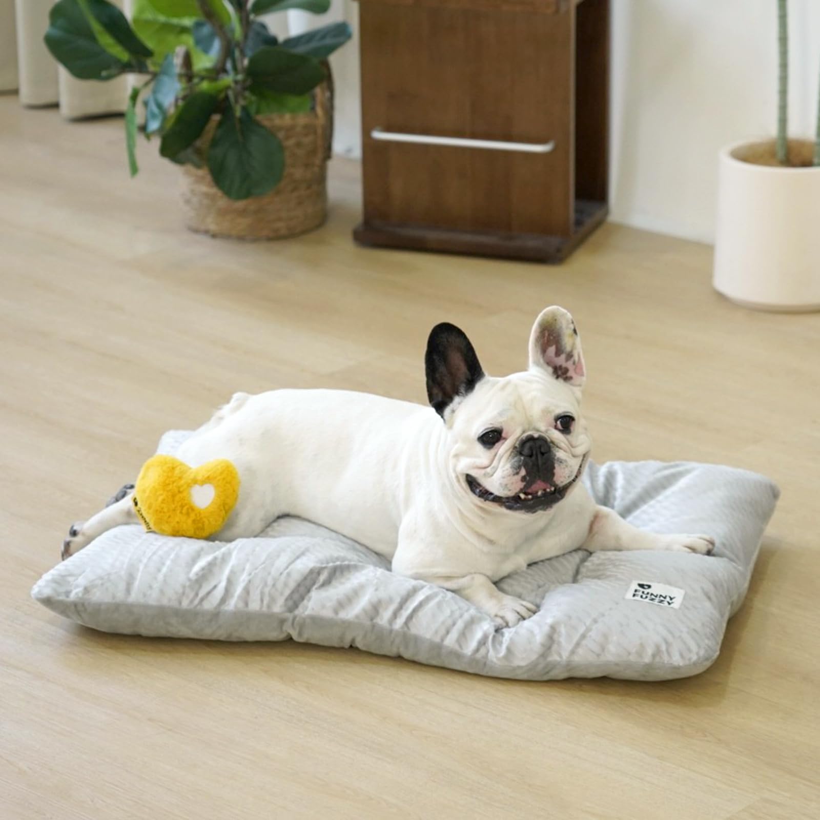 Funny Fuzzy 2 In 1 Dog Bed Crate Pad Mat, Washable Reversible Pet Floor Mats,Fluffy Kennel Pad For Small Large Sized Dog,Indoor