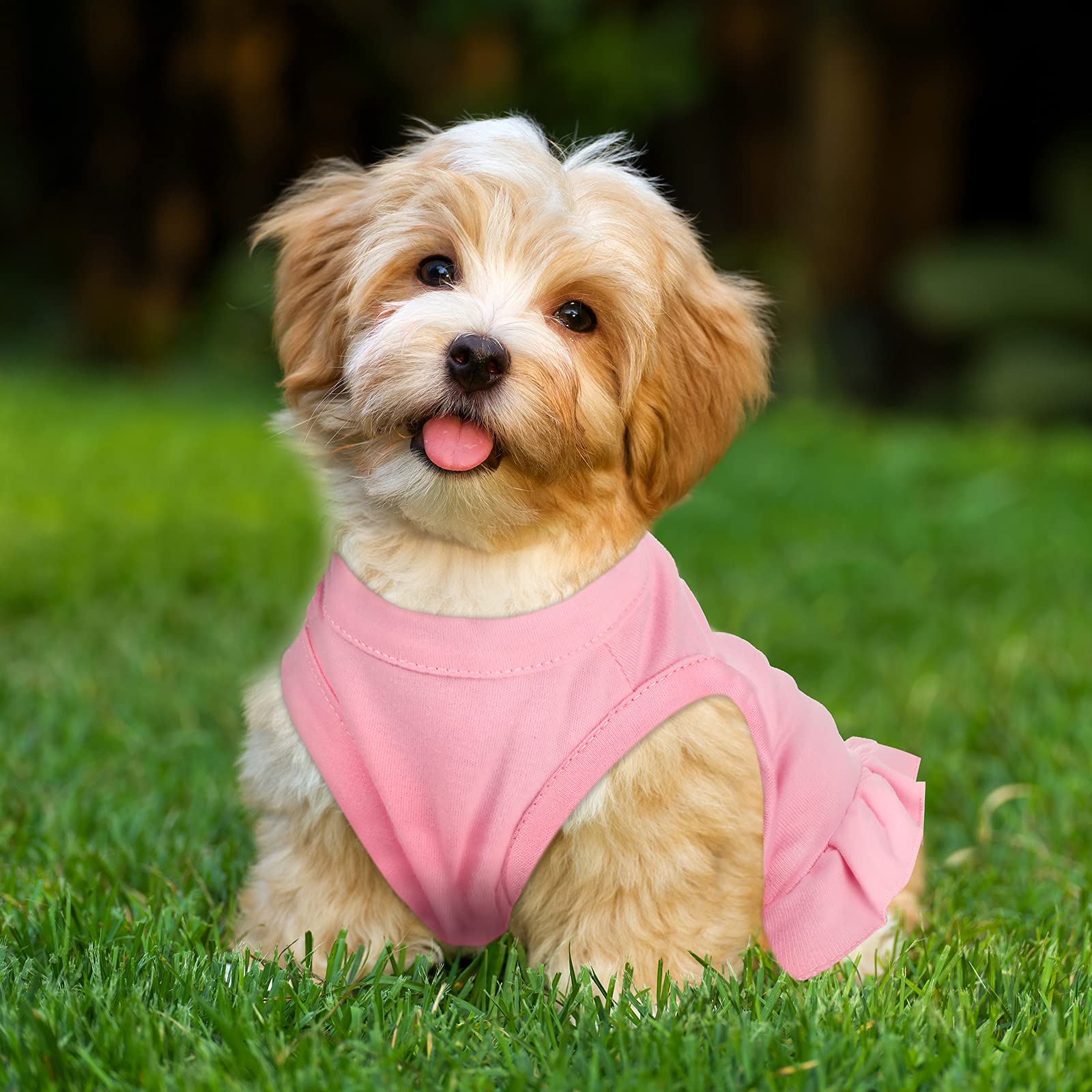 6 Pieces Dog Dresses Dog Shirt Skirt Dog Sleeveless Dress Breathable Pet Shirts With Ruffles Dog Sundress Dog Outfits For Dogs And Cats (Cute Style, M Size)