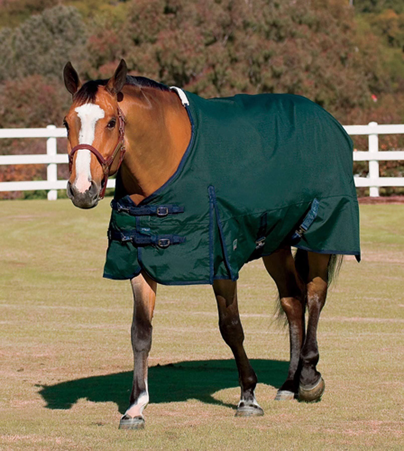 Rider'S International Supreme Turnout Sheet, Color: Hunter/Navy, Size: 68