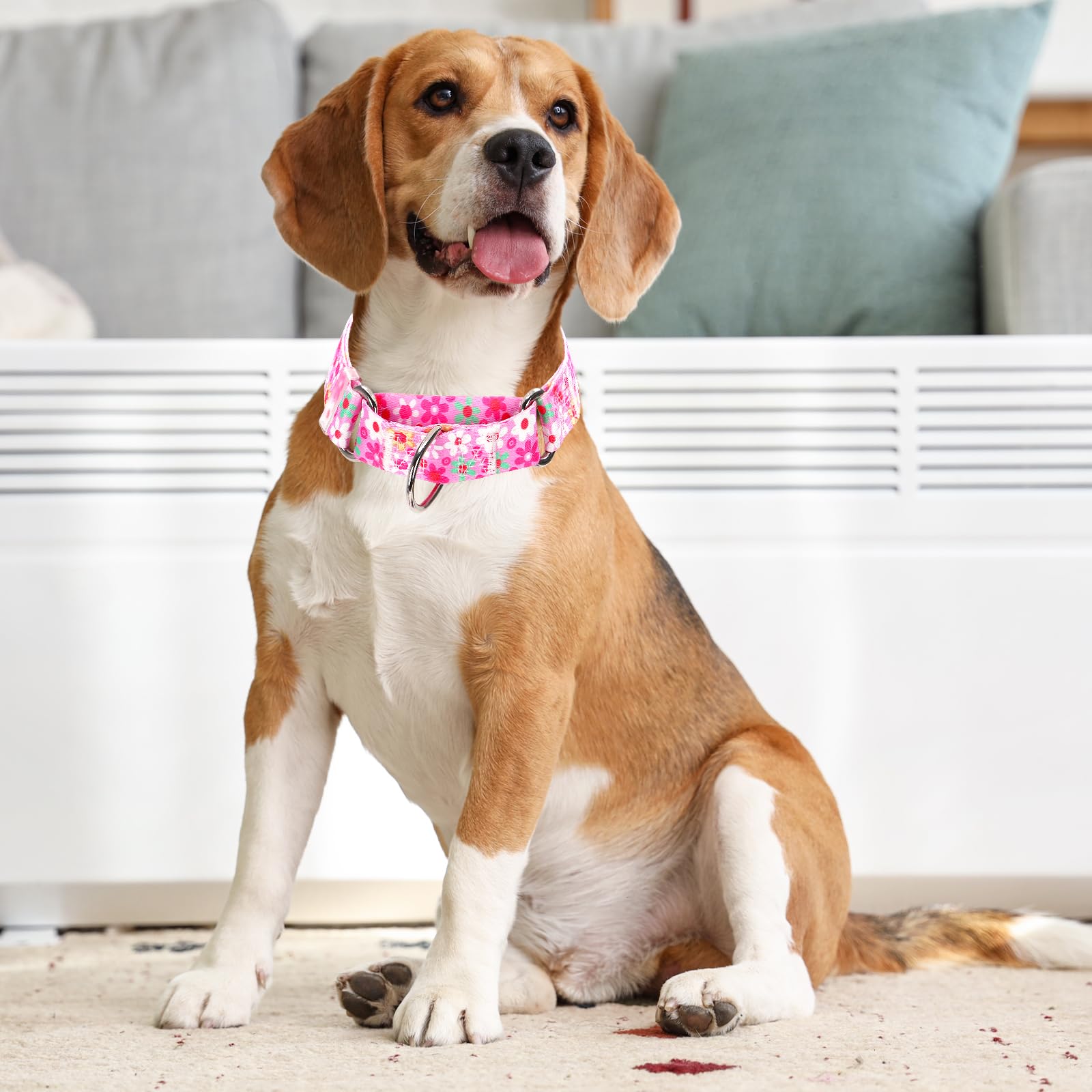 Martingale Collar For Dogs, Pink Flowers Adjustable Premium No Slip Collar For Girl Female Dogs Large Medium And Small, Summer F