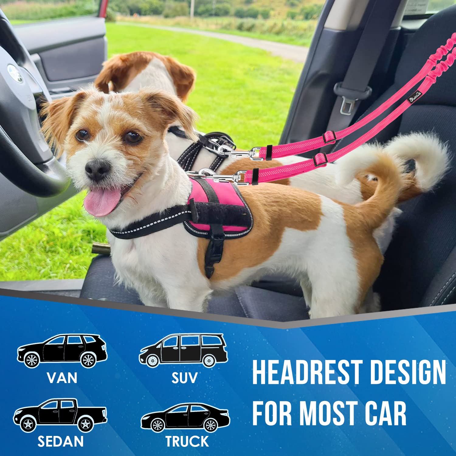 Lukovee Double Dog Seat Belt, New Dual Pet Car Headrest Restraint Safety Seatbelt No Tangle Dog Leash Duty Adjust Elastic Bungee Puppy Lead Splitter Connect Harness In Vehicle Travel For 2 Dogs (Fl)