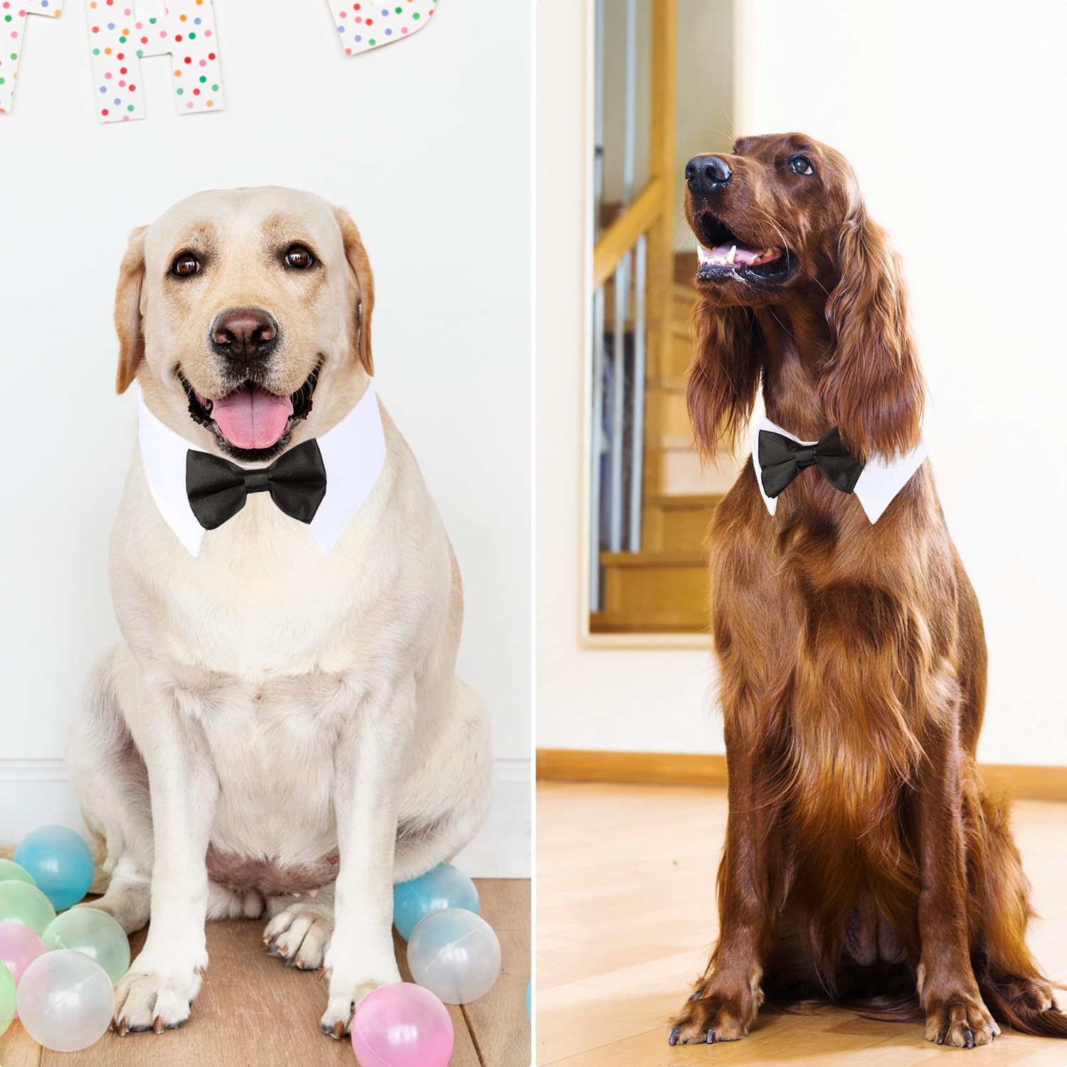 Segarty Dog Tuxedo Bow Tie Collar - Black Bowtie With Handcrafted Adjustable White Formal Pet Cats Necktie For Medium Large Boy