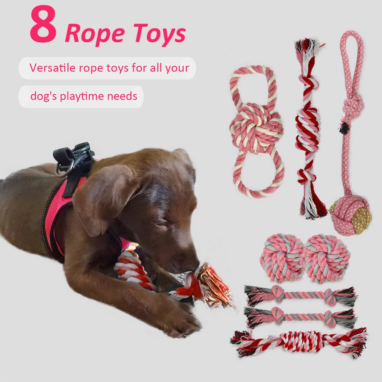 PawsAion Puppy Toys Set - 20 Pack Pink Dog Chew Toys for Teething Small Breeds - Tough Rope Toys for Puppies, Cute Soft Rubber T