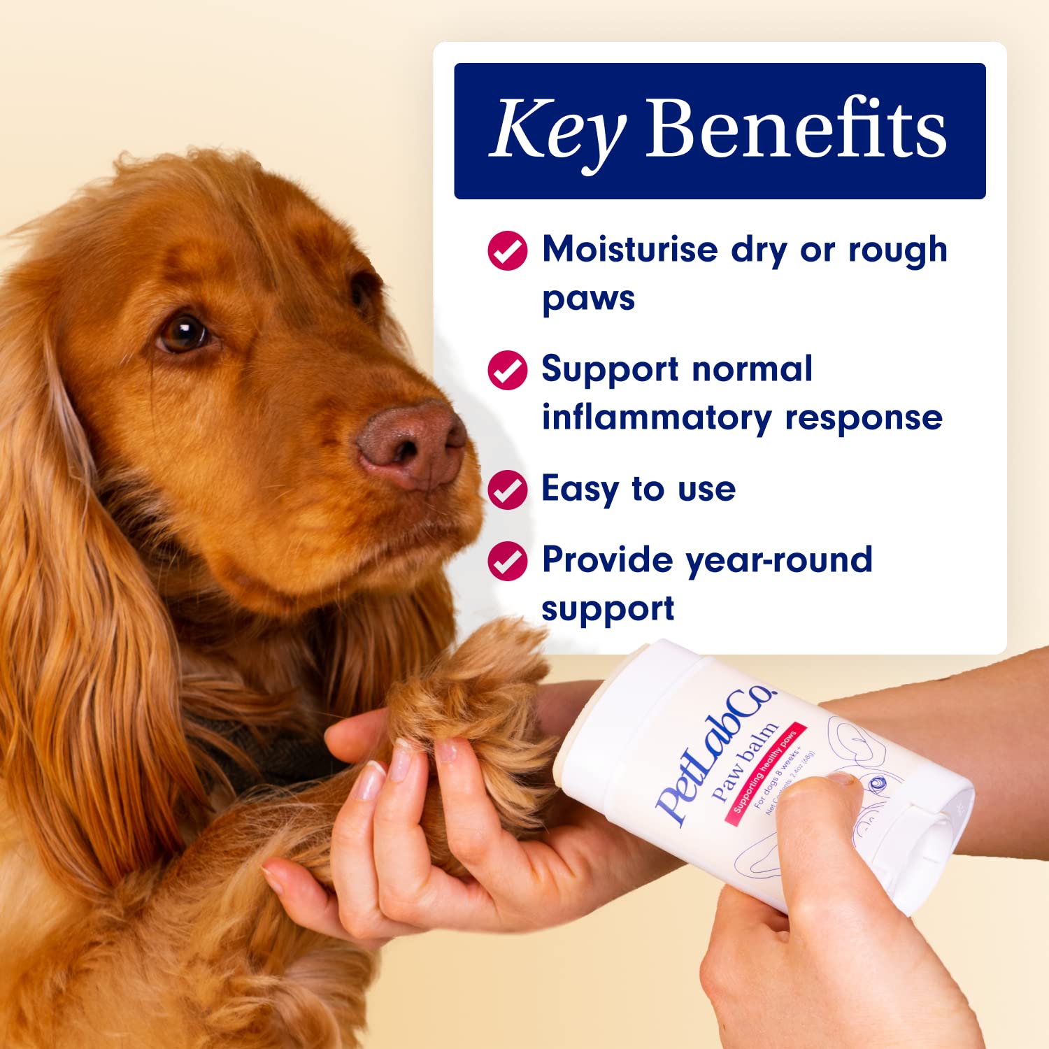 Petlab Co. Paw Balm For Dogs - Moisturizes And Supports Dry Paws - Easy To Use Paw Soother For Dogs Of All Ages - Dog Paw Wax