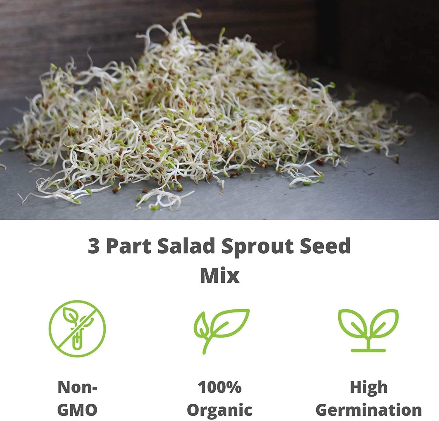Handy Pantry Organic Birdseed - 1 Lb - Sprouting Bird Seed Mix for Small, Medium & Large Birds- Feed for Songbirds, Parakeets, P
