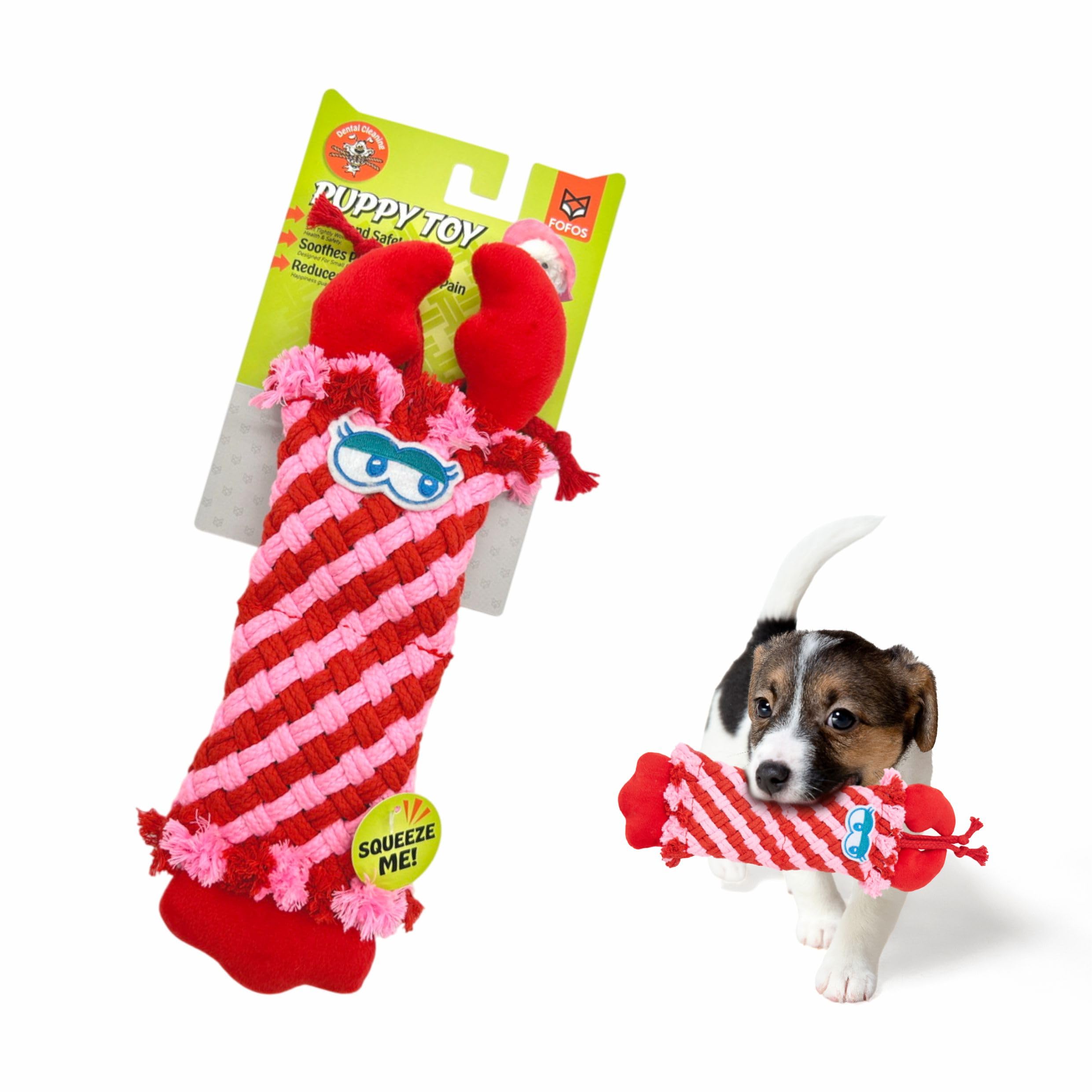BarkButler x FOFOS Puppy Teething Toys Lobster  Puppy Toy Anxiety Relief, Squeaky Toys for Dogs, Dog Toys for Medium Dogs (020
