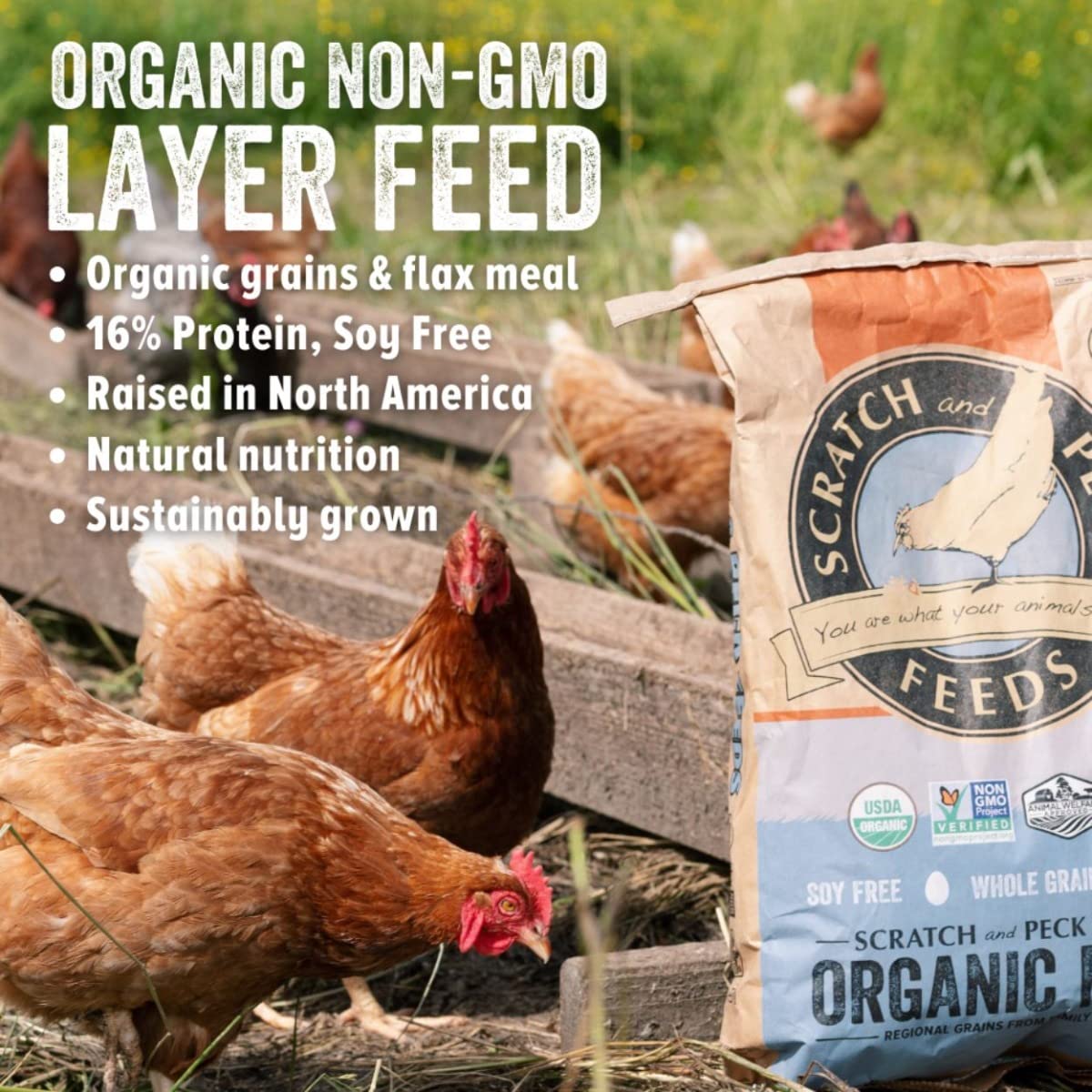 Scratch and Peck Feeds Whole Grain Layer Mash Chicken and Duck Feed - 40 lbs Bag - Corn-Free and Soy-Free - 16% Protein, Certifi
