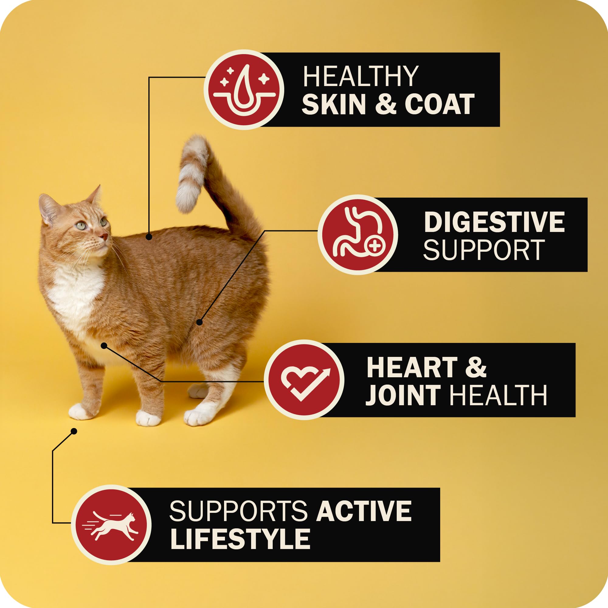 Redbarn Air Dried Powerfood for Cats with Real Chicken - Made in USA High Protein, Grain-Free Dry Cat Kitten Food Full Meal or T