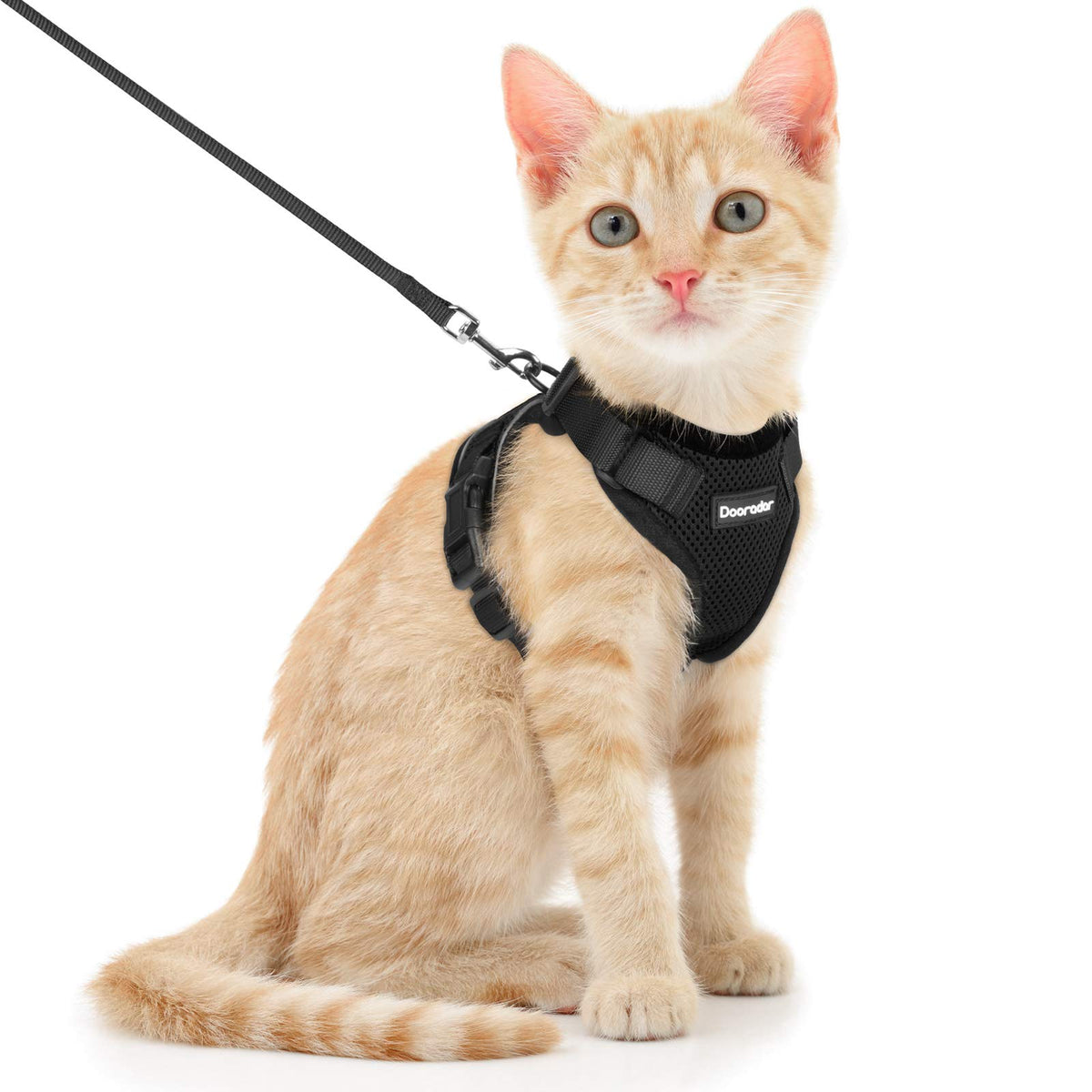 Dooradar Cat Harness And Leash Set, Escape Proof Safe Adjustable Kitten Vest Harnesses For Walking, Easy Control Soft Breathable Mesh Jacket With Reflective Strips For Cats, Black, Xs