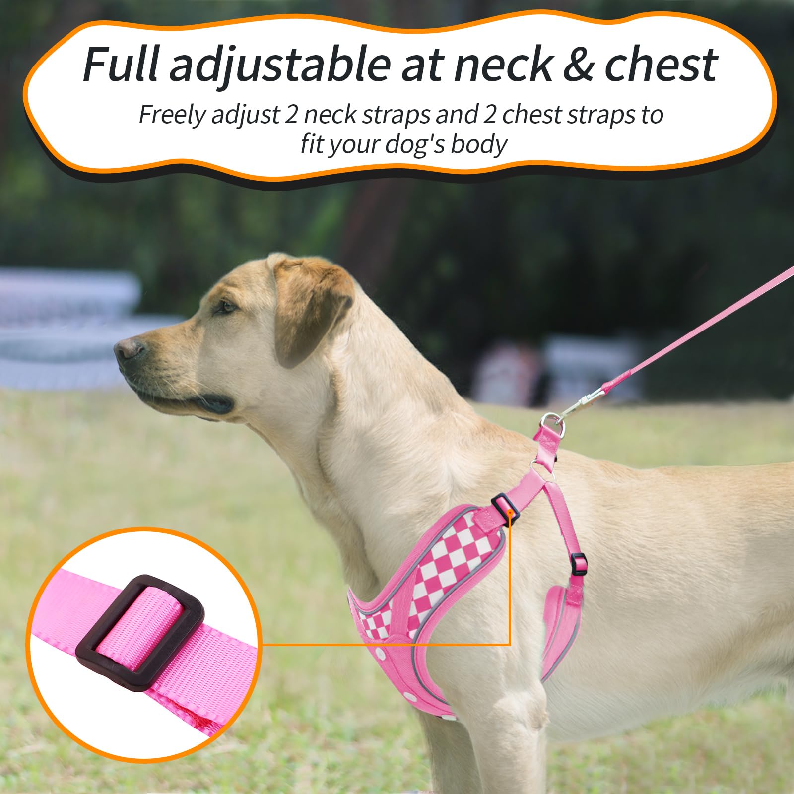 Dog Harness with Leash Set, No Pull Reflective Strips Adjustable Step in Collars with Breathable Padded Vest Harness for Large D