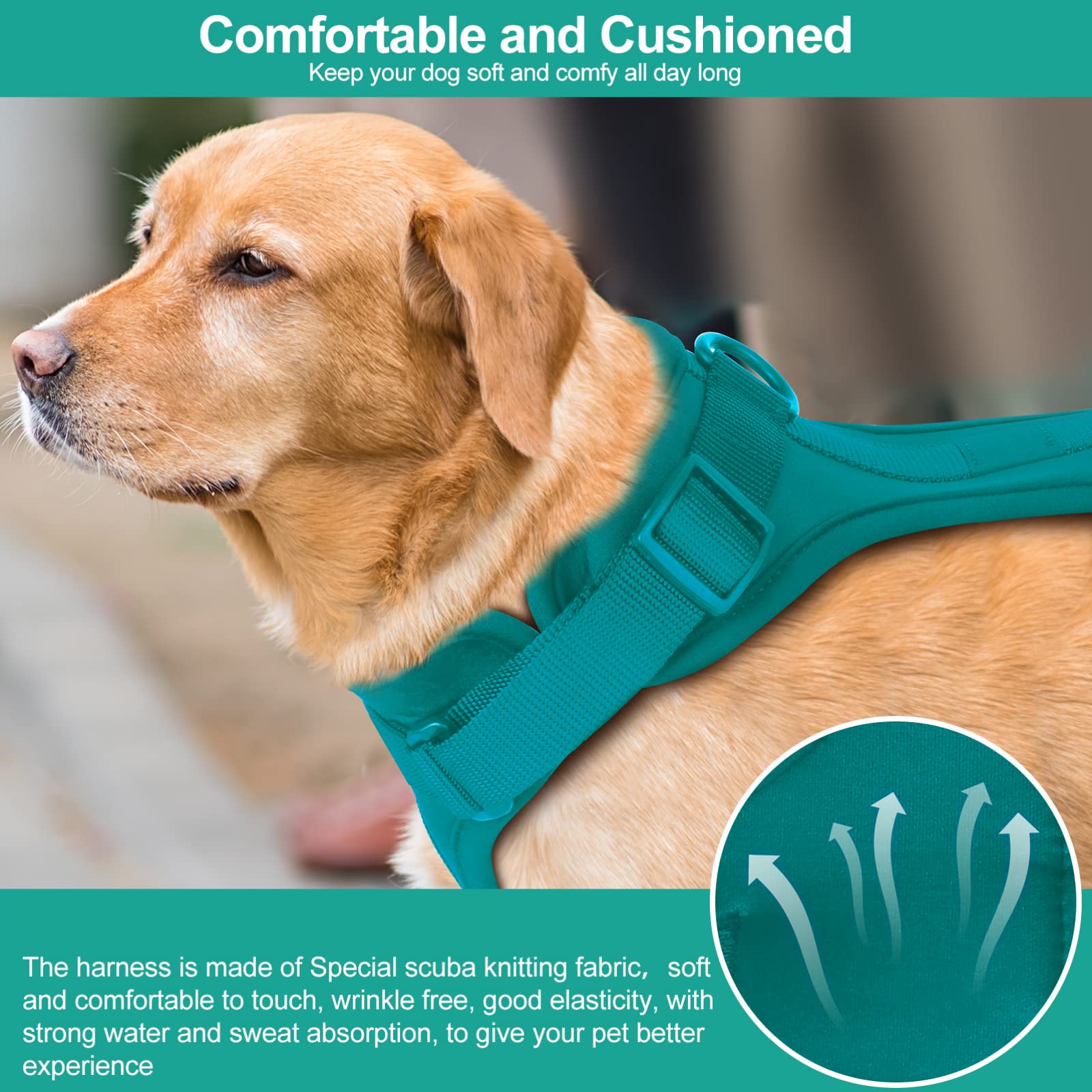 Wisedog No Pull Lightweight Dog Vest Harness With Soft And Comfortable Cushion, Breathable Mesh, For Small Medium Large Dogs Walking (S(Neck: 9.84'-14.17';Chest: 14.17'-22.05'), Emerald Green)